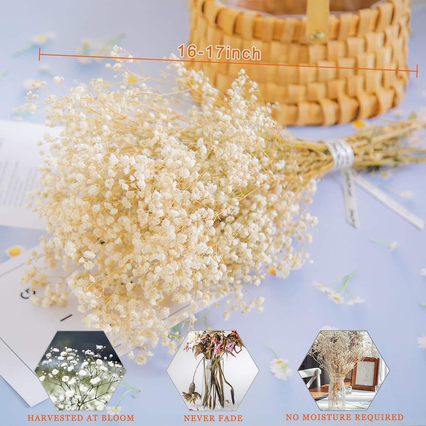 6500+ Dried-Babys-Breath-Flowers-Bouquet, Double Quantityed Ivory White Flowers, Natural Gypsophila Branches, Valentine&#x27;s Day, Dry Flowers Bulk for Vase, DIY Wreath Home Party Wedding(5.7Oz)