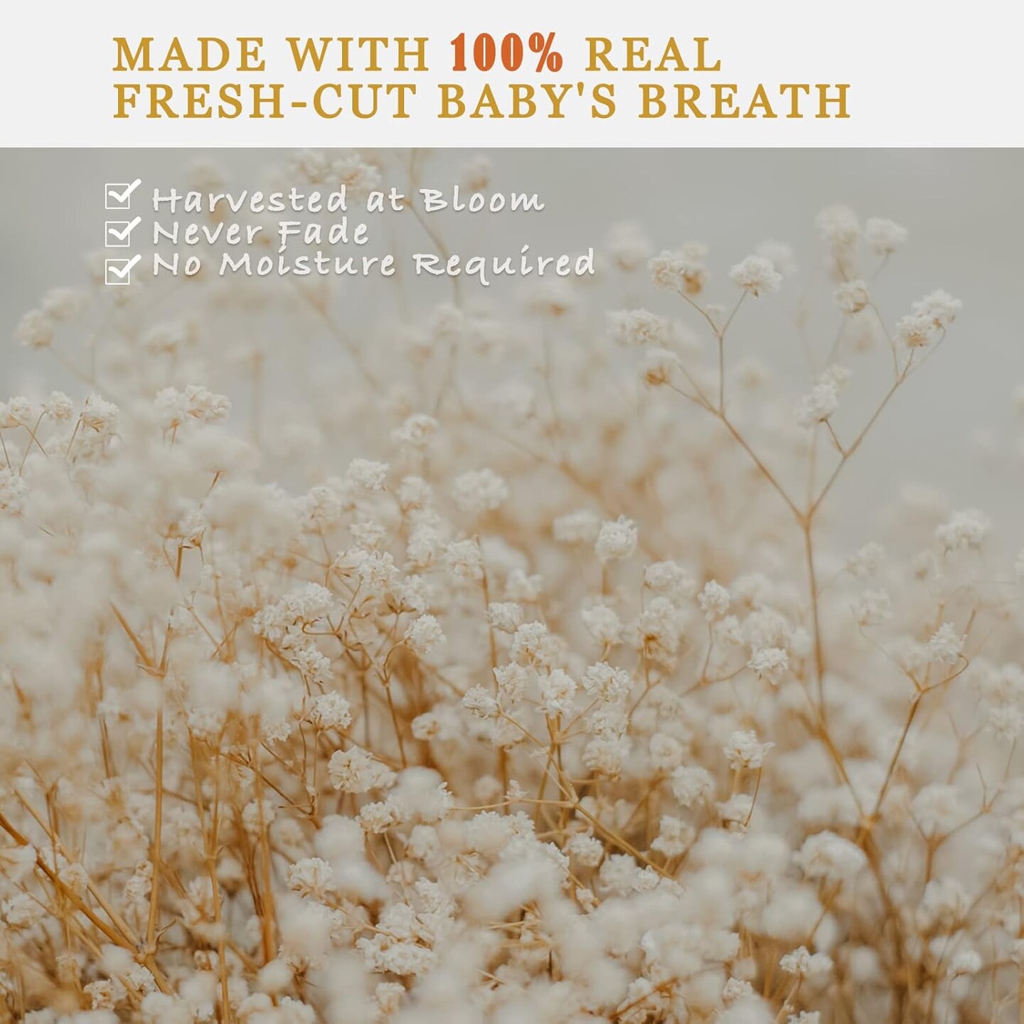 6500+ Dried-Babys-Breath-Flowers-Bouquet, Double Quantityed Ivory White Flowers, Natural Gypsophila Branches, Valentine&#x27;s Day, Dry Flowers Bulk for Vase, DIY Wreath Home Party Wedding(5.7Oz)