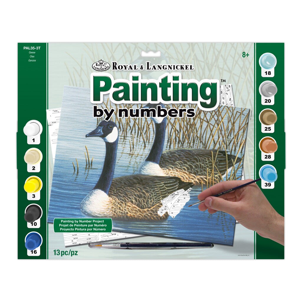 PAL35 | Painting by numbers&#x2122; 13pc 11.25&#x22; x 13.375&#x22; Geese Painting Project