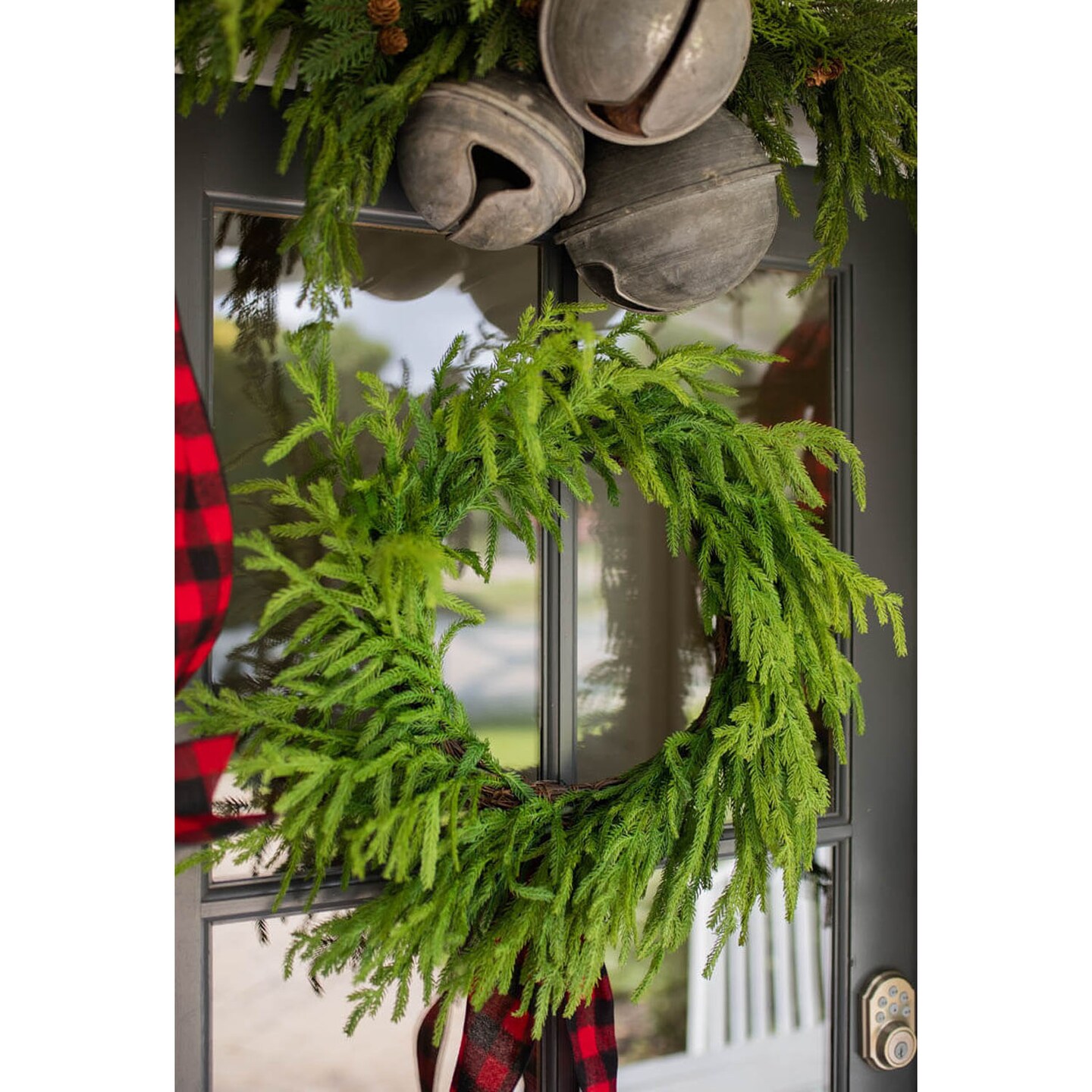 24&#x201D; Just Cut Norfolk Pine Wreath Fresh &#x26; Lush Holiday Decoration