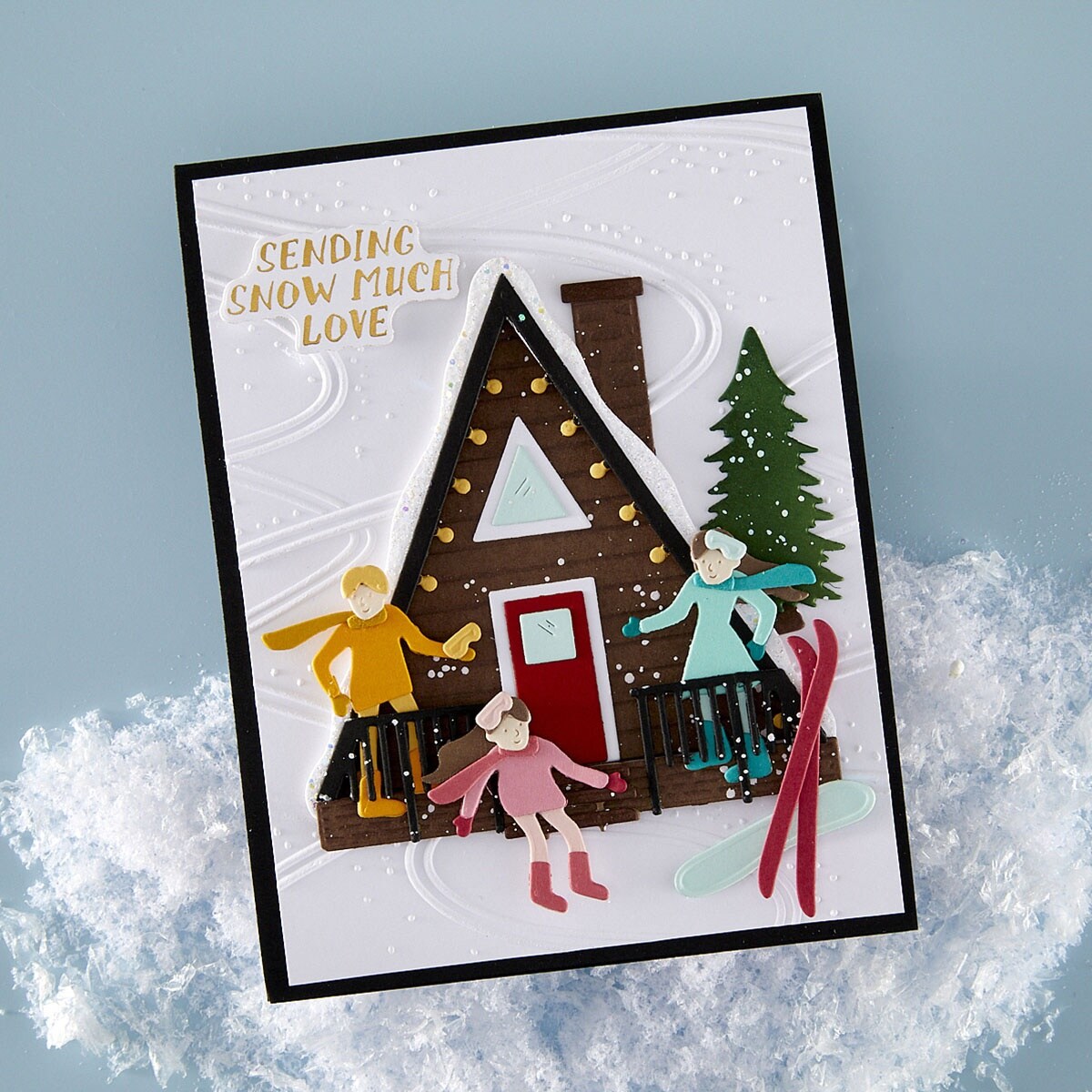 Spellbinders 3D Embossing Folder by Simon Hurley-Ski-Son's Greetings
