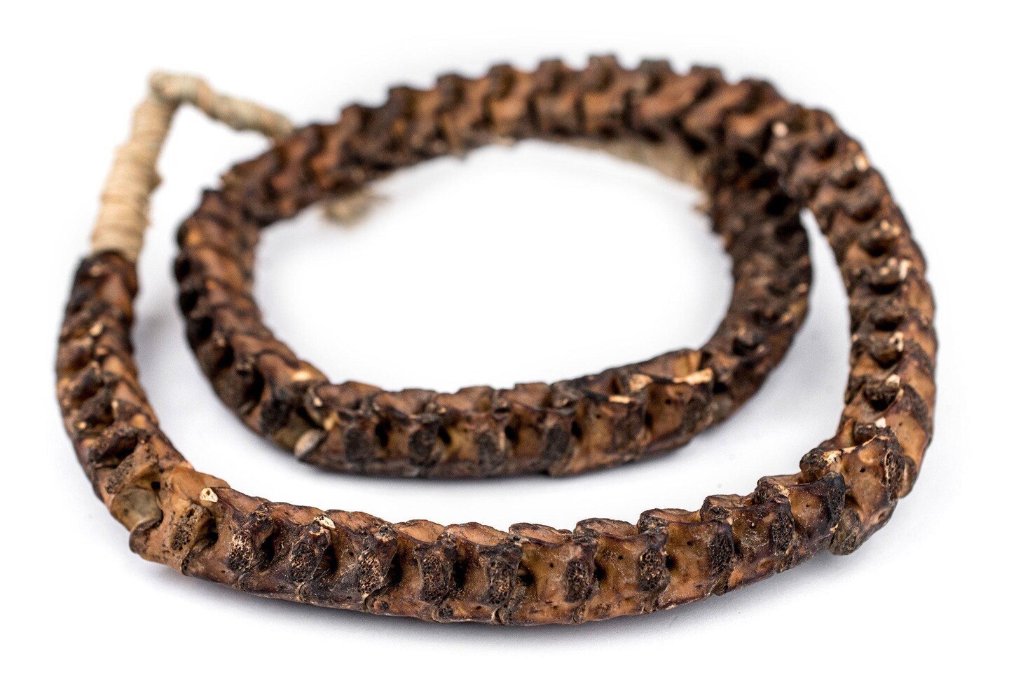 The Bead Chest Real Snake Vertebrae Beads from Africa Extra Large 18mm Nigeria African Brown Interlocking Bone Large Hole 32-34 Inch Strand