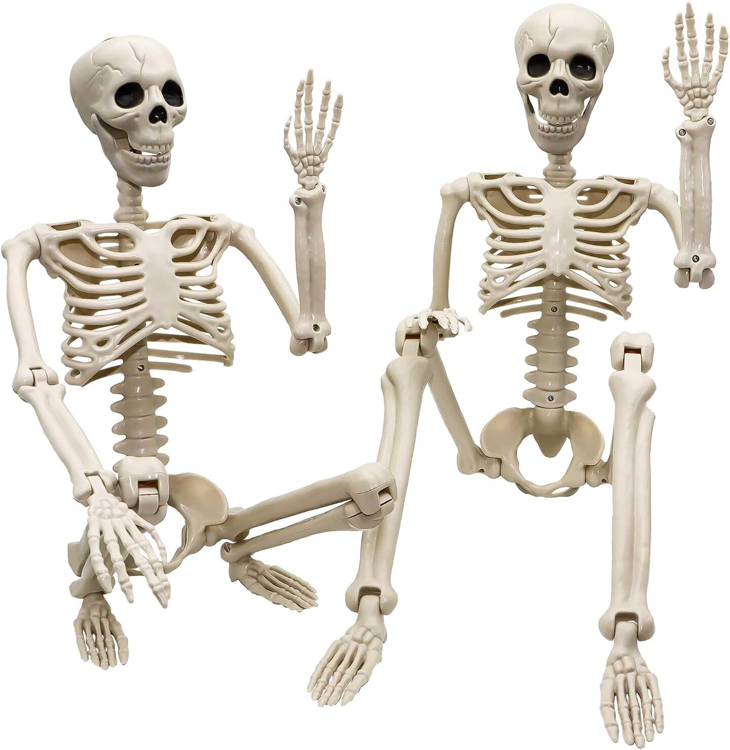 2 pcs 3 ft Life Size Human Skeleton with Full Body Posable Joints