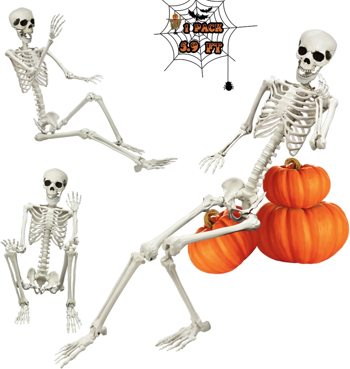 Life Size Poseable Skeleton for Halloween