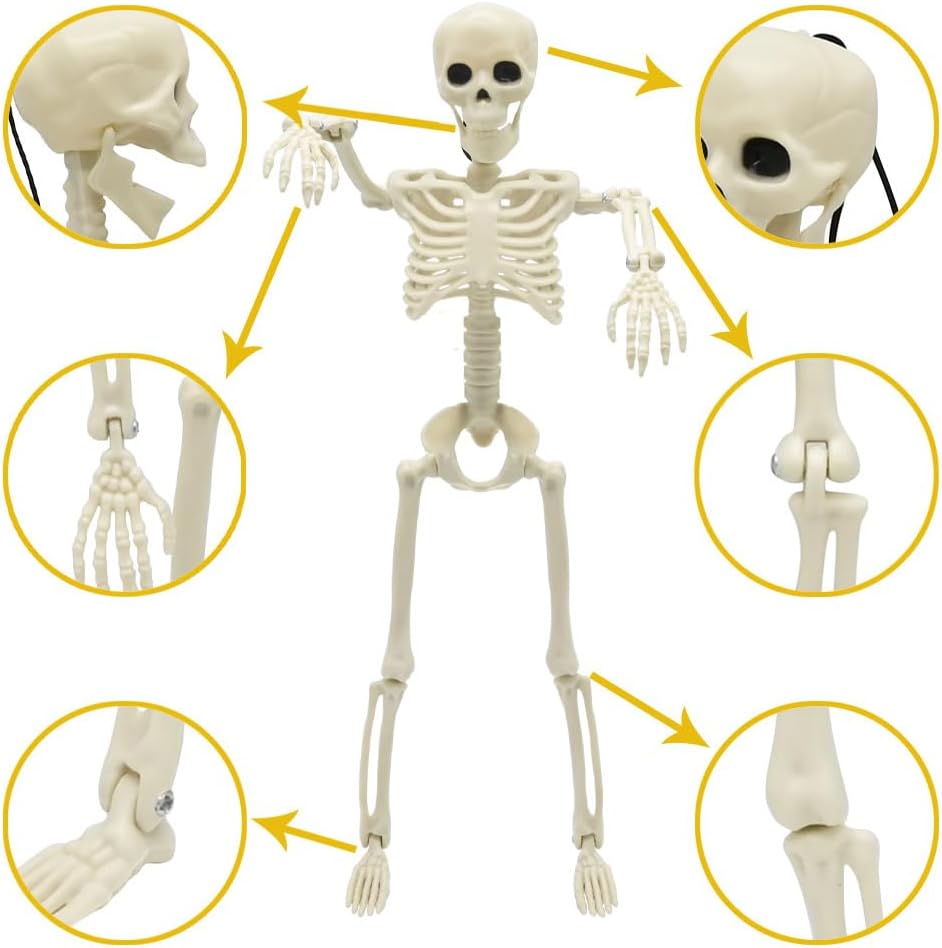 5 Pack 16&#x22; Halloween Skeleton Decorations