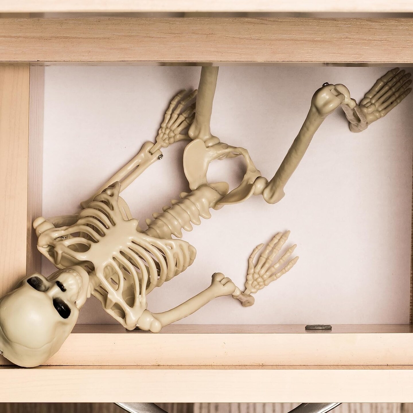 Halloween Decoration Outdoor 2 Pack Skeleton, 16&#x22; Plastic Posable Skeleton