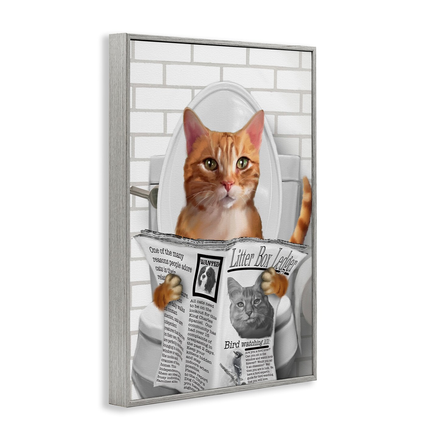 Stupell Industries Whimsy Cat on Toilet Framed Giclee, design by Matthew Piotrowicz