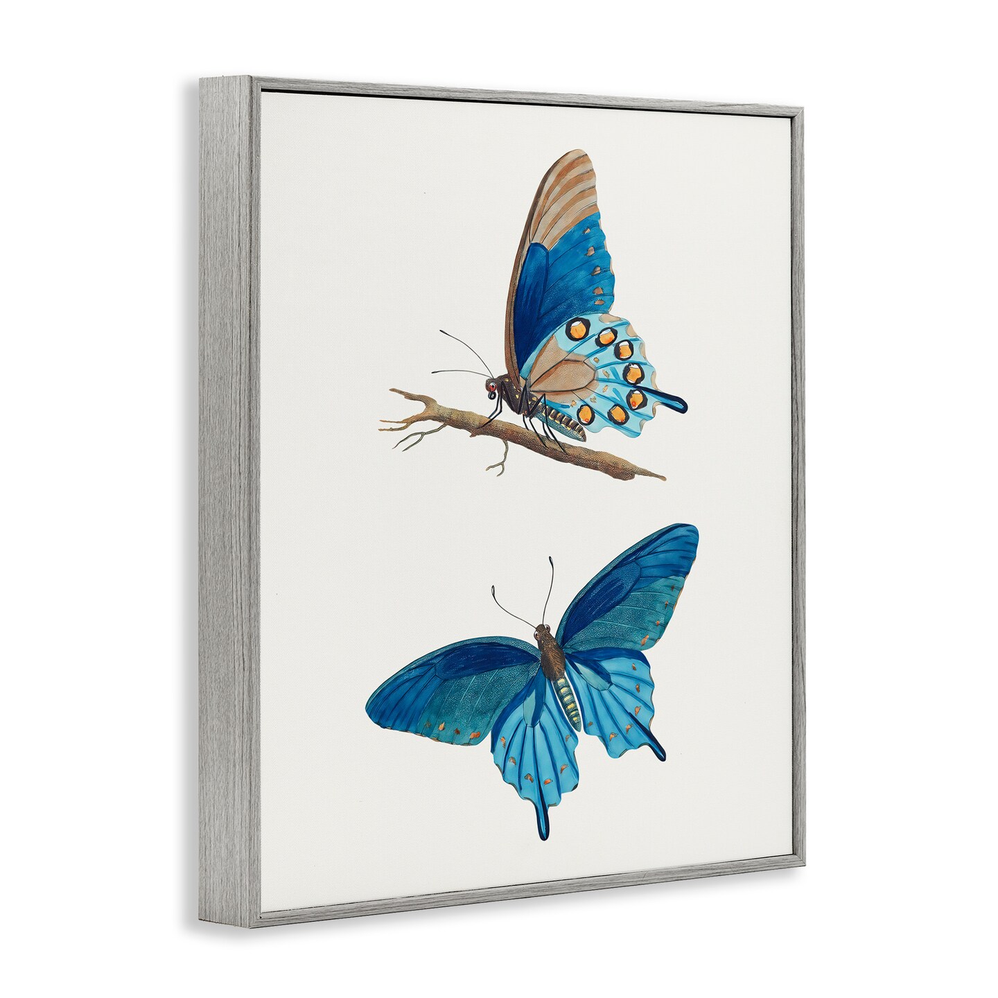 Stupell Industries Blue Butterflies Pair Framed Giclee, design by Arlington Prints