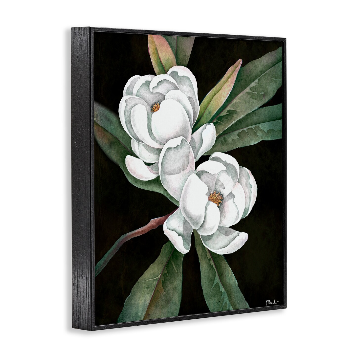 Stupell Industries Vintage Bay Magnolia Framed Giclee, design by Paul Brent