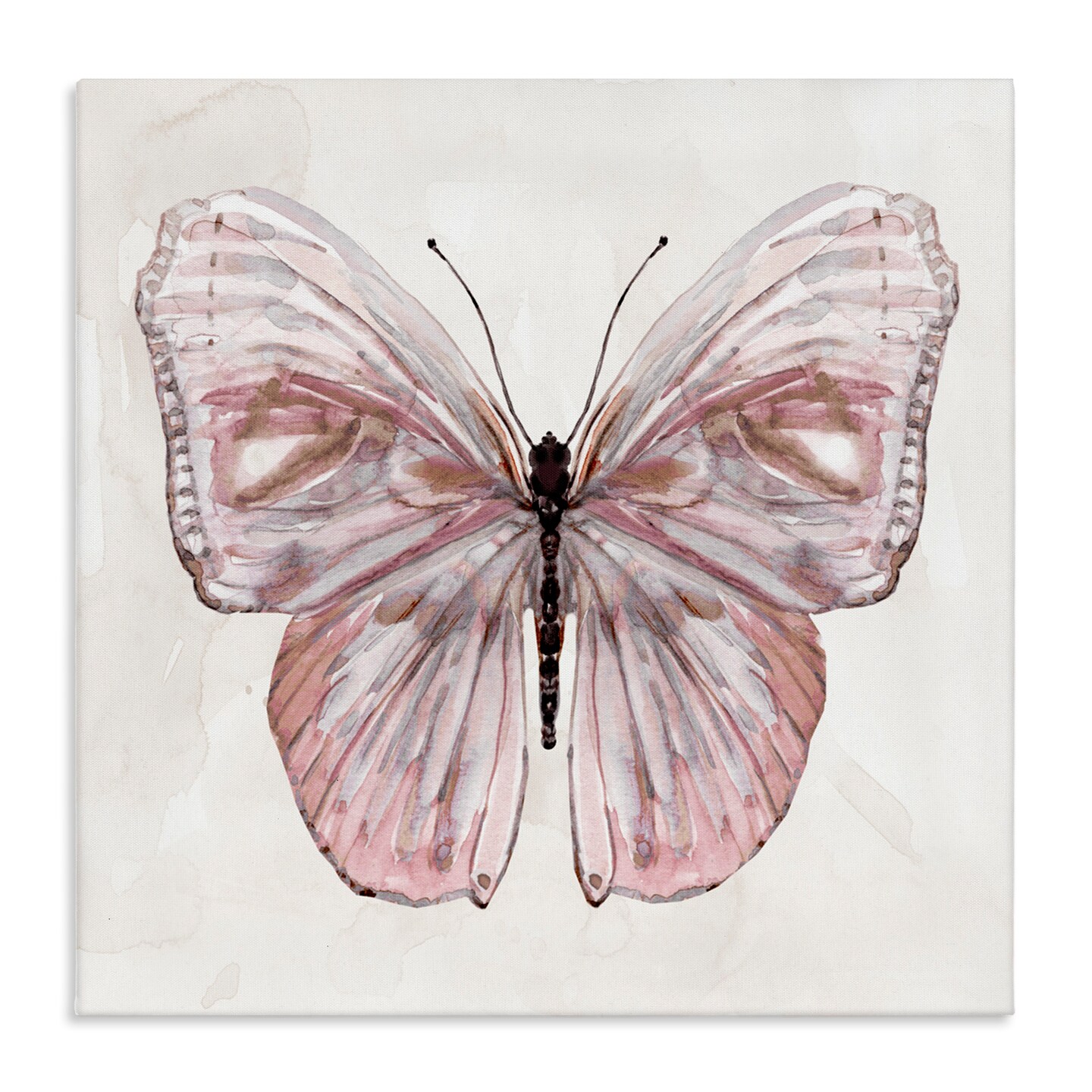 Stupell Industries Muted Pink Butterfly Canvas, design by Carol Robinson