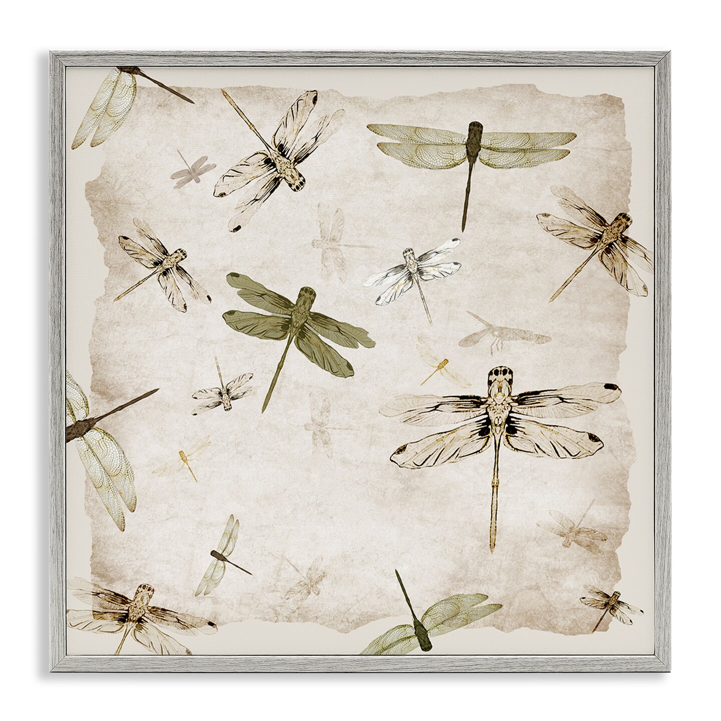 Stupell Industries Vintage Grace Dragonflies Framed Giclee, design by Jacob Q