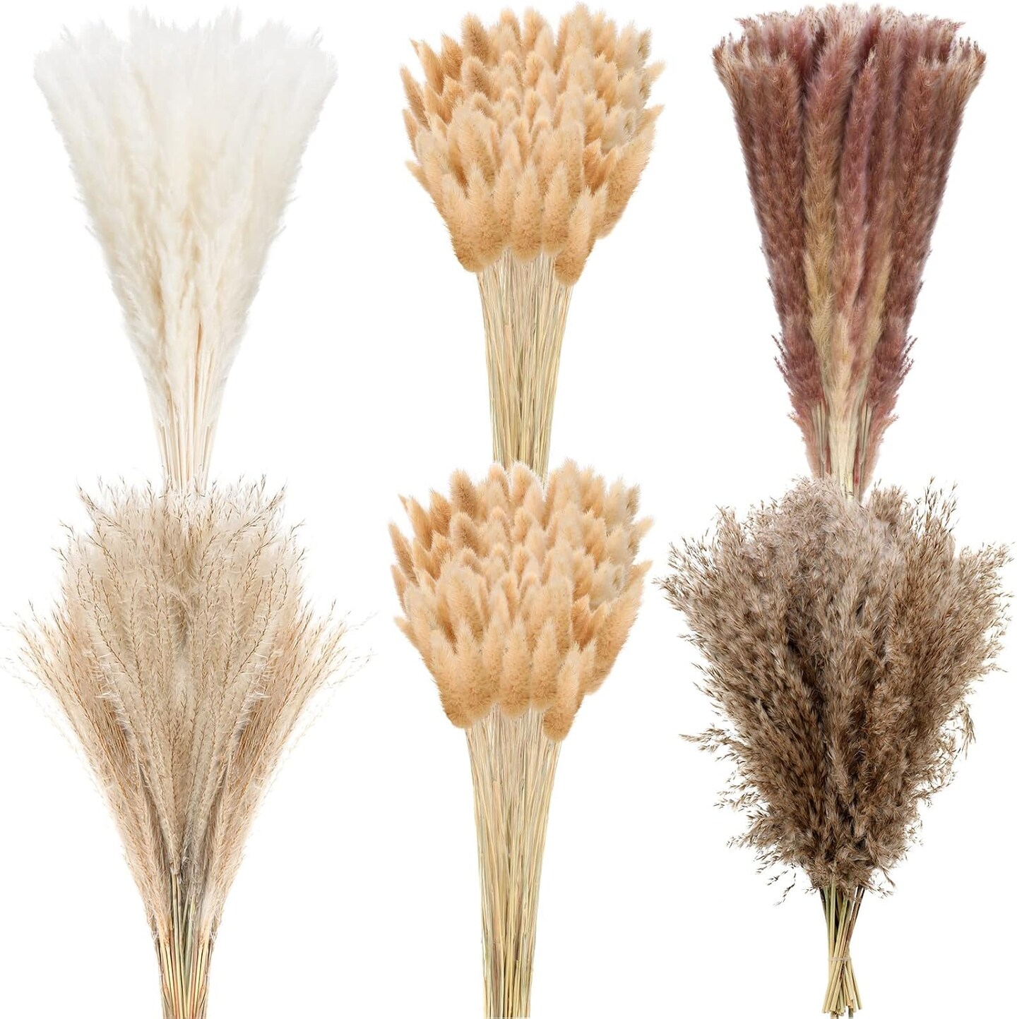 17 Inch Dried Flower Plants Bulk White and Brown Pampas Grass( Vintage Colors)