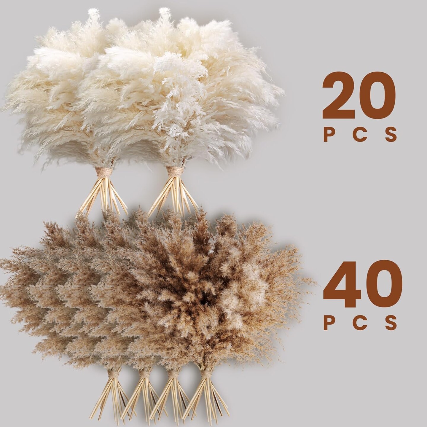 Fluffy Pompas Grass, Natural Dry Pampas Grass Small(Brown,white)