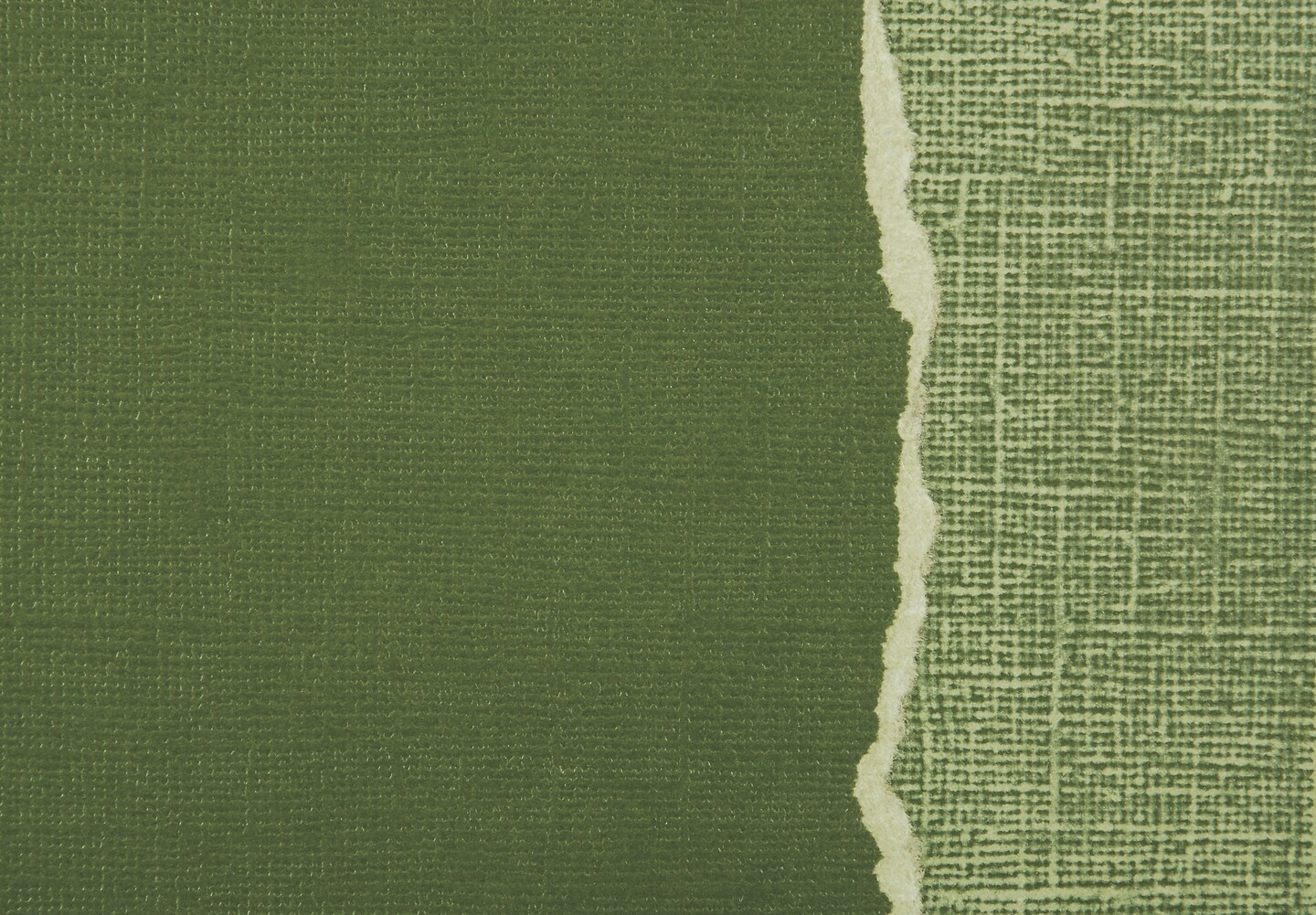 Core&#x27;dinations Sandable Cardstock 12&#x22;X12&#x22;-Forest