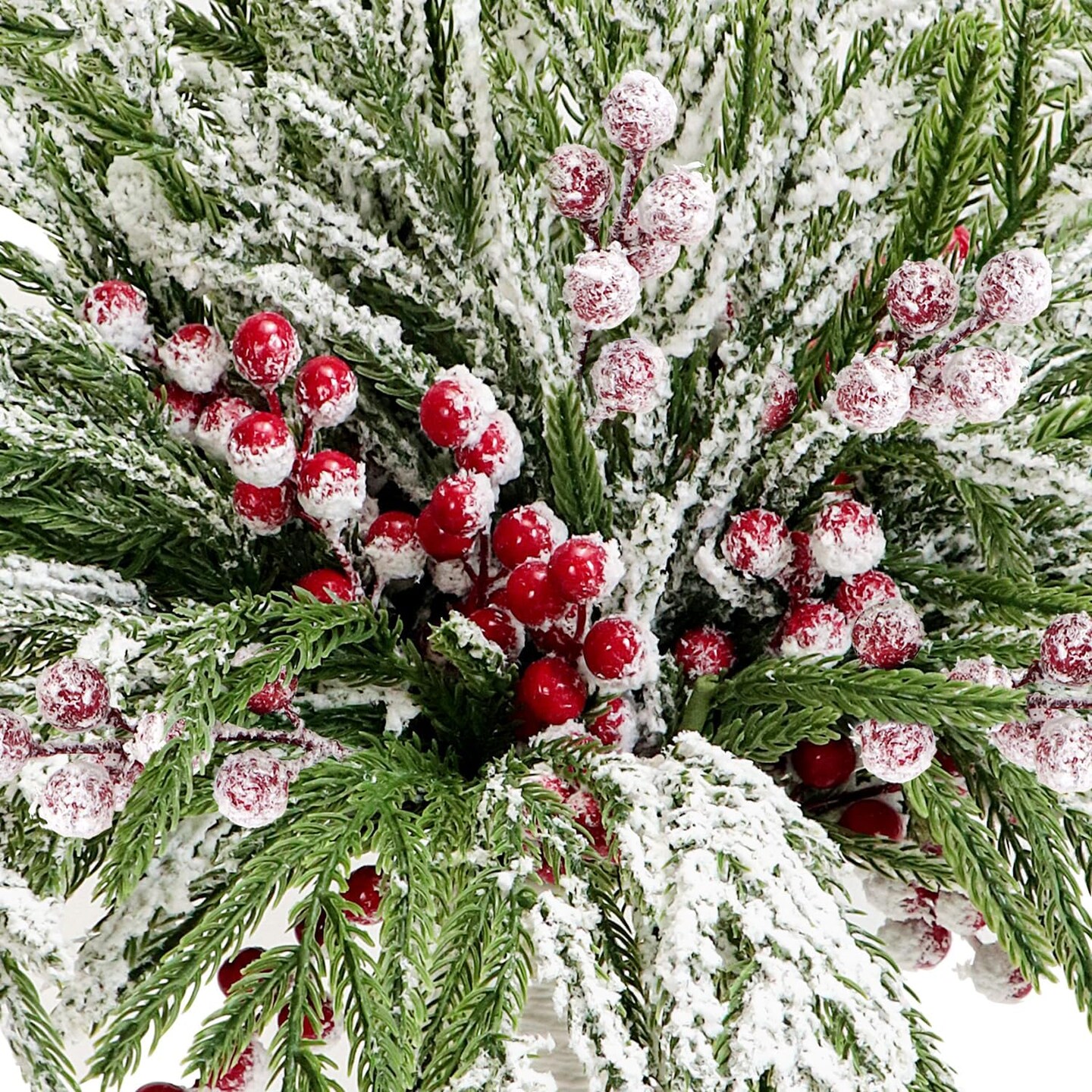 Norfolk Pine Branches (Snow)