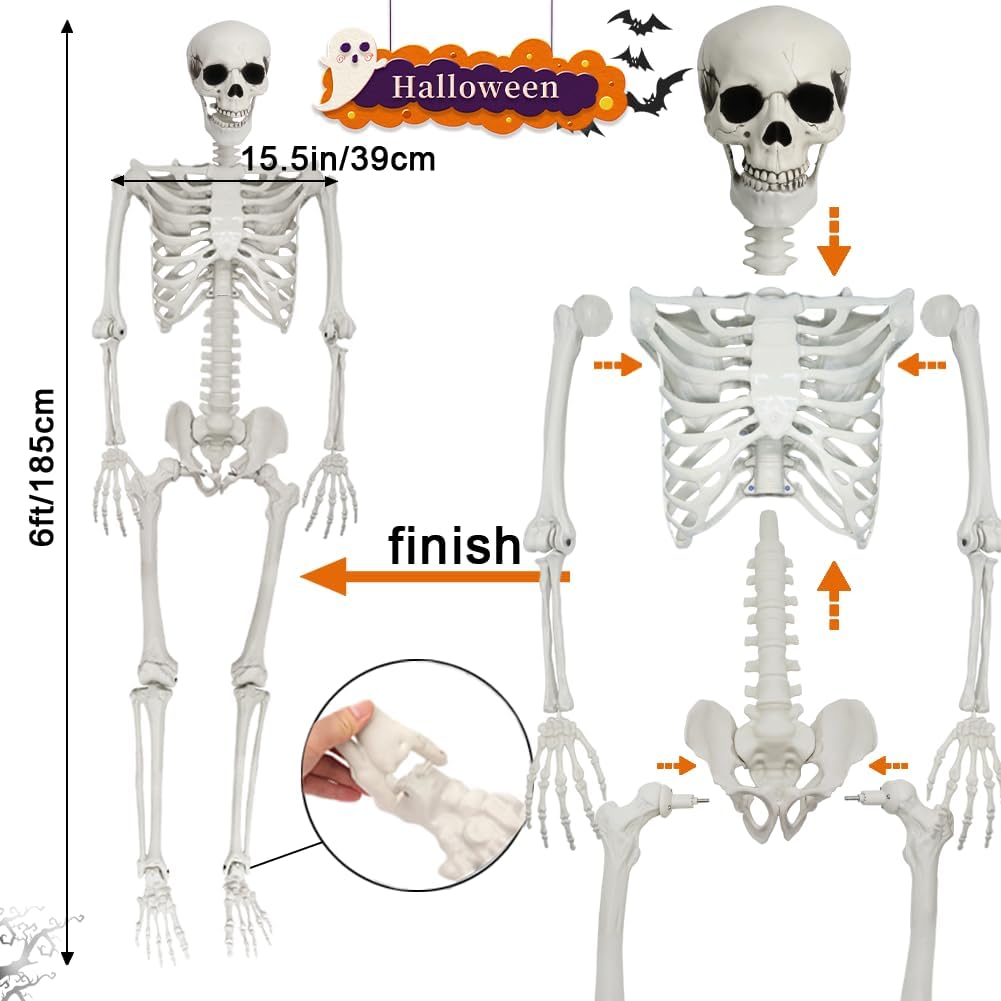 5.6ft Halloween Human Poseable Skull Skeleton