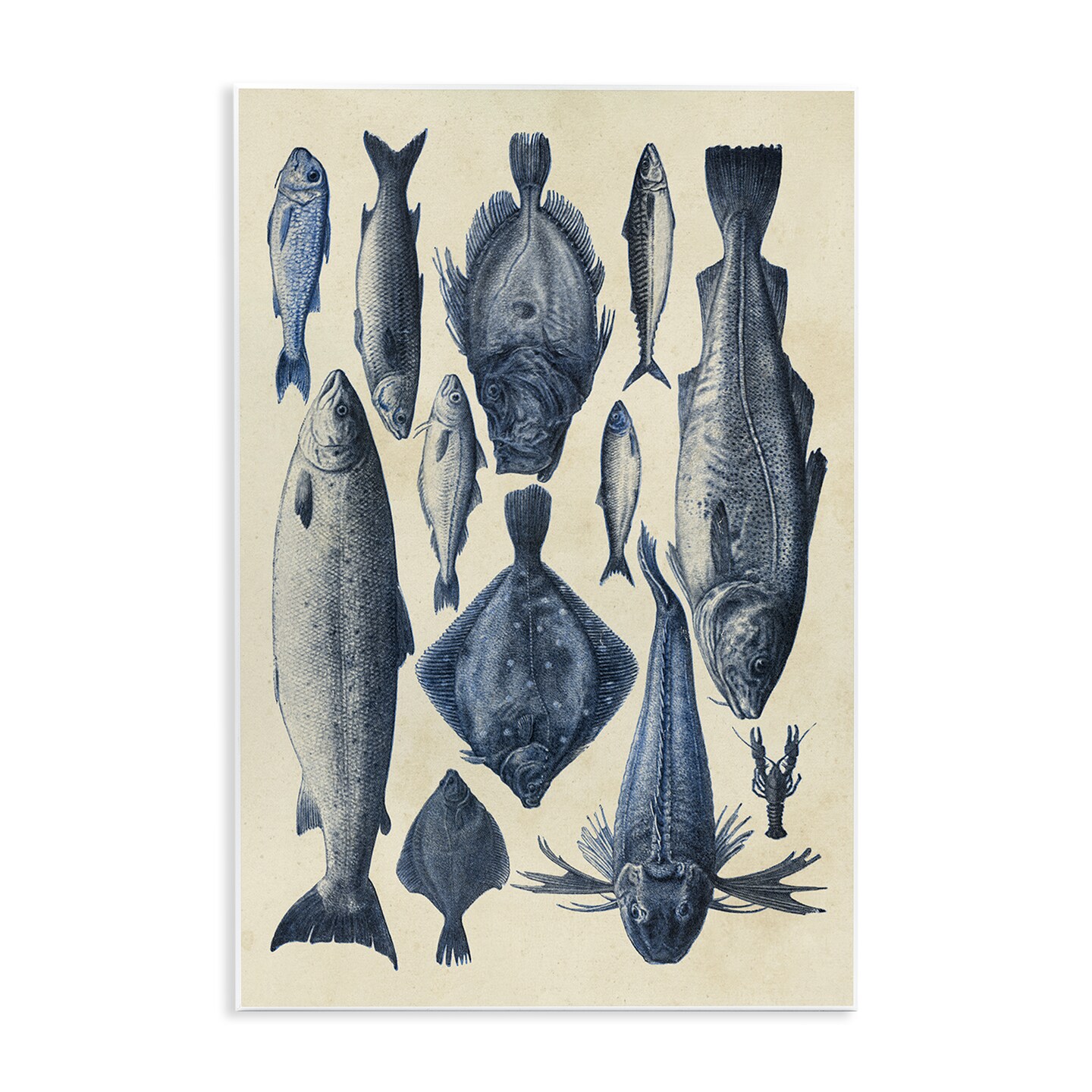 Stupell Industries Traditional Blue Fish Chart Wall Plaque, design by Alicia Longley