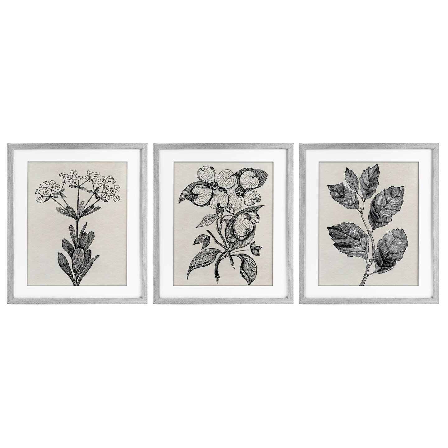 Stupell Industries Classic Natural Botanicals 3pc Framed Print Under Glass Set, design by Karen Smith