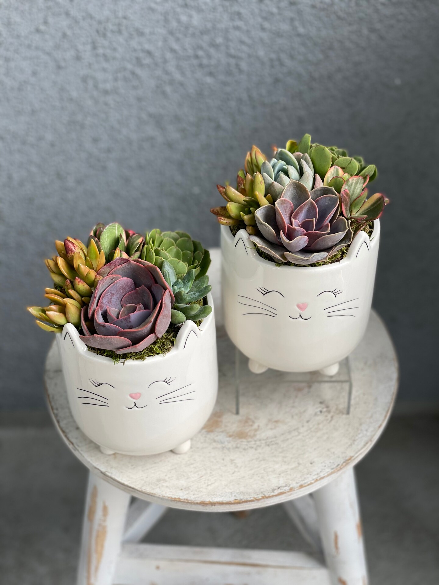 er plant mit mir Eryngium Masterclass – Arati Mirji main image 1