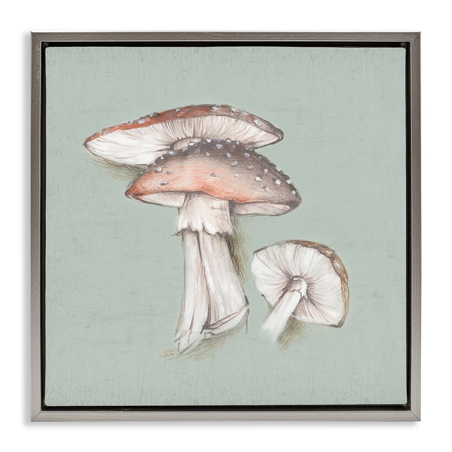 Stupell Industries Mushroom Bunch Drawing Framed Floater Canvas Wall Art Design by Eli Jones