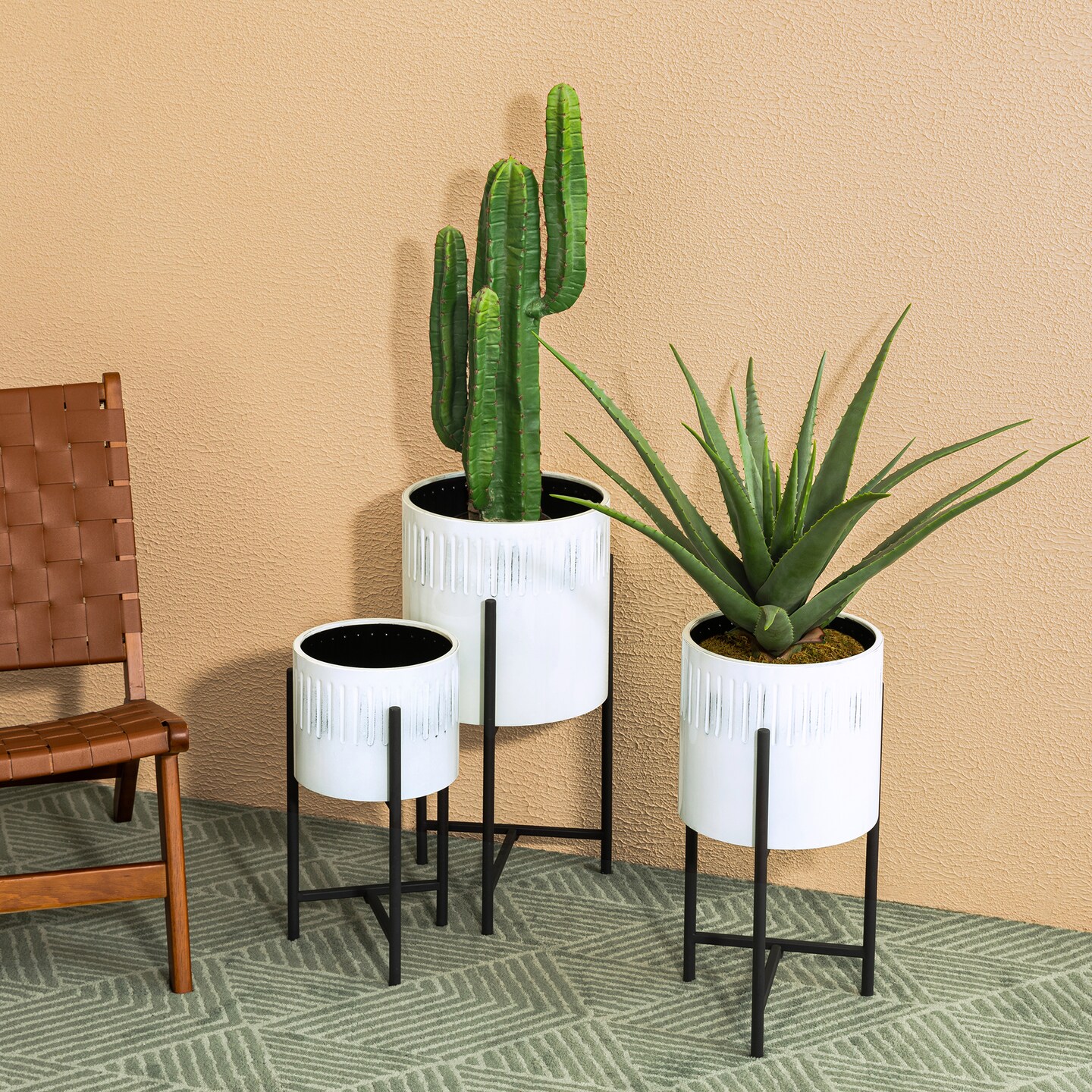 living room large indoor plant pots White Bird of Paradise in Deco Planter