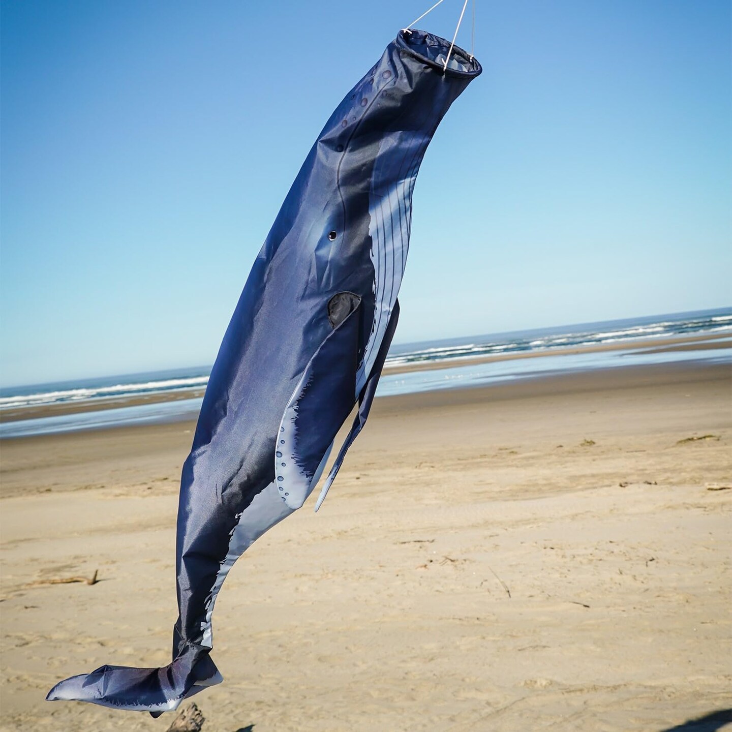 In the Breeze 5243 — Humpback Whale 48-inch Fish Windsock — Detailed, Fully Printed Inflatable Windsock