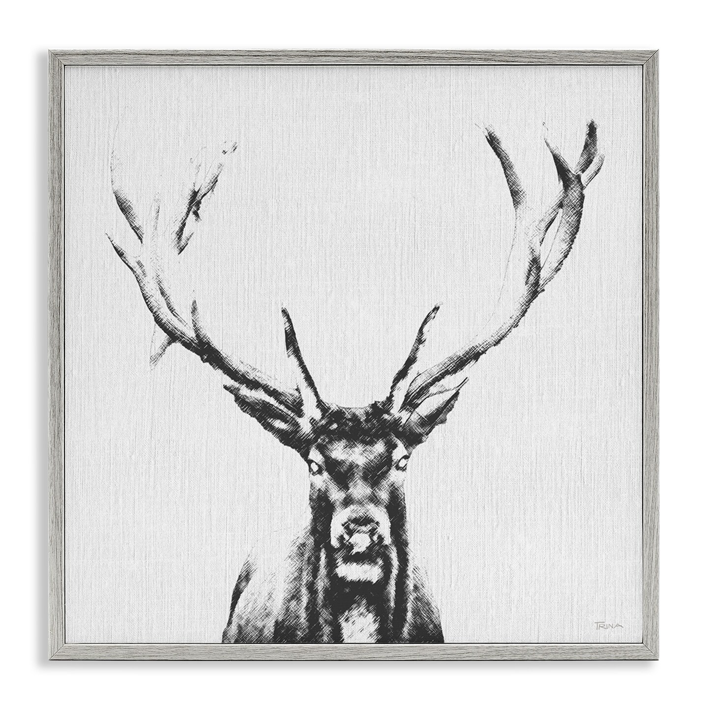 Stupell Industries Stag Sketch in Grey Framed Giclee Wall Art Design by Katrina Craven