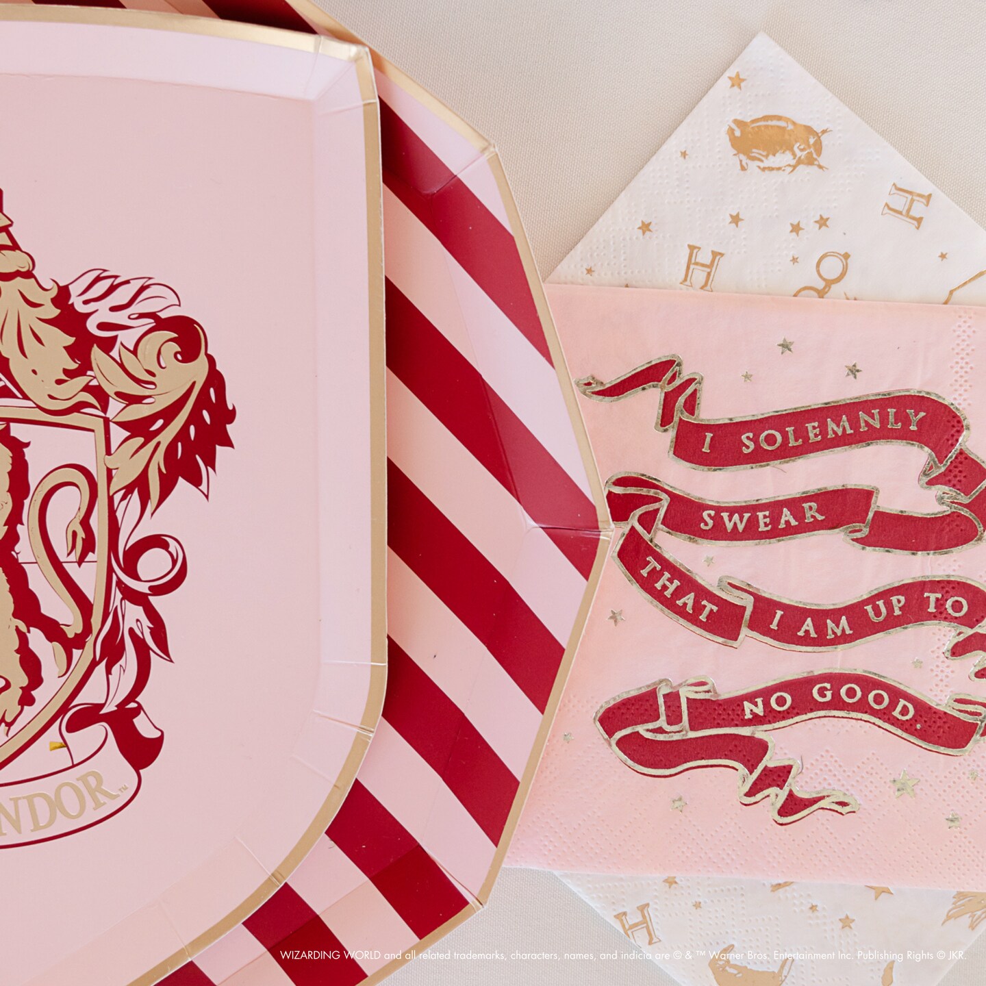 HARRY POTTER X BONJOUR FETE HOUSE PRIDE LARGE PARTY NAPKINS