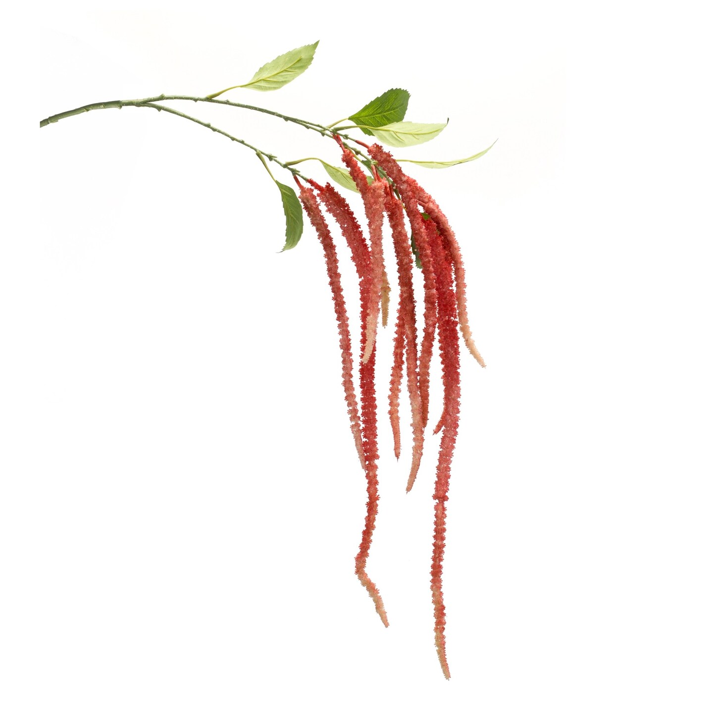 Melrose Artificial Amaranthus Stem Spray - 53.25&#x22; - Red - Set of 4