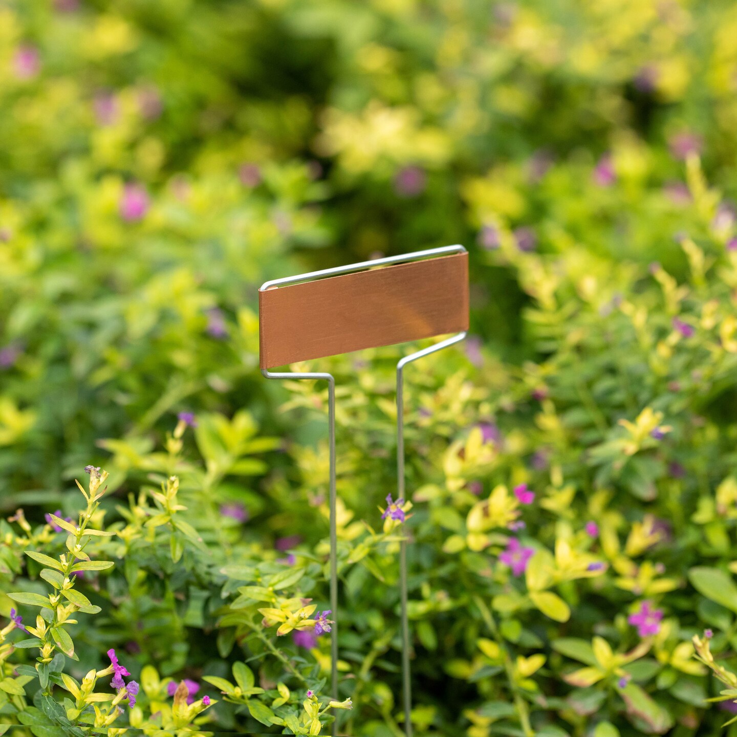 Gardenised 25-pcs Weatherproof Plant Markers Labels for Seedlings Vegetables Herbs Flowers Planters &#x26; Pots Ideal for Greenhouses Nurseries Botanical &#x26; Community Gardens Outdoor Gardening &#x26; Landscaping