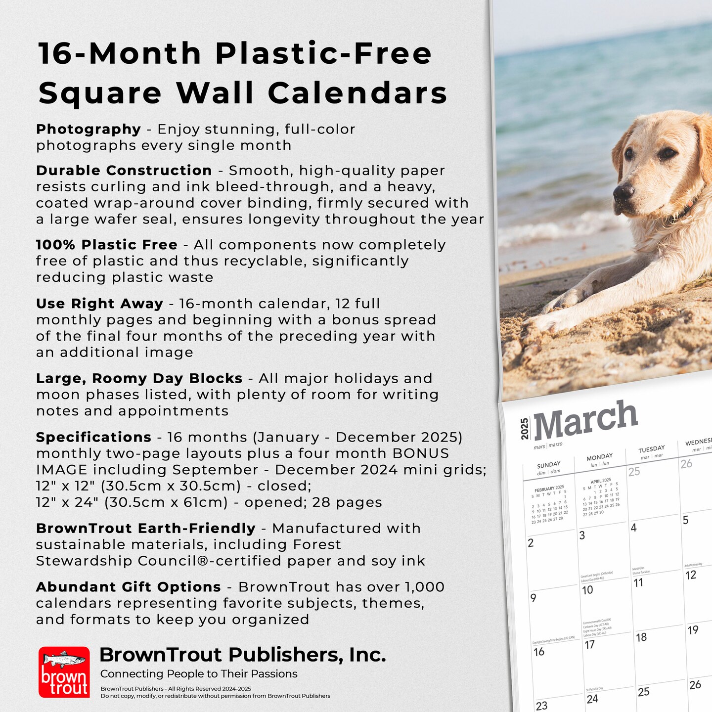 Yellow Labrador Retrievers | 2025 12 x 24 Inch Monthly Square Wall Calendar | Plastic-Free | BrownTrout | Animals Dog Breeds