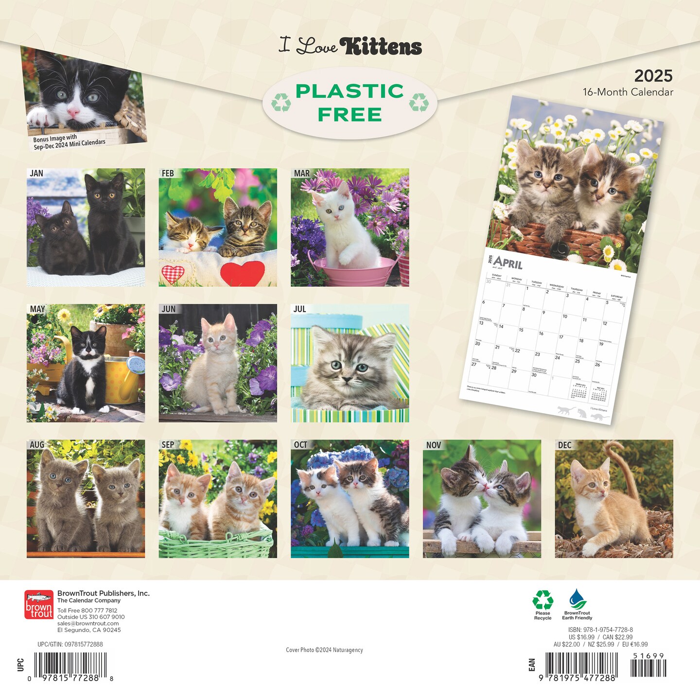 I Love Kittens | 2025 12 x 24 Inch Monthly Square Wall Calendar | Plastic-Free | BrownTrout | Animals Cats Feline