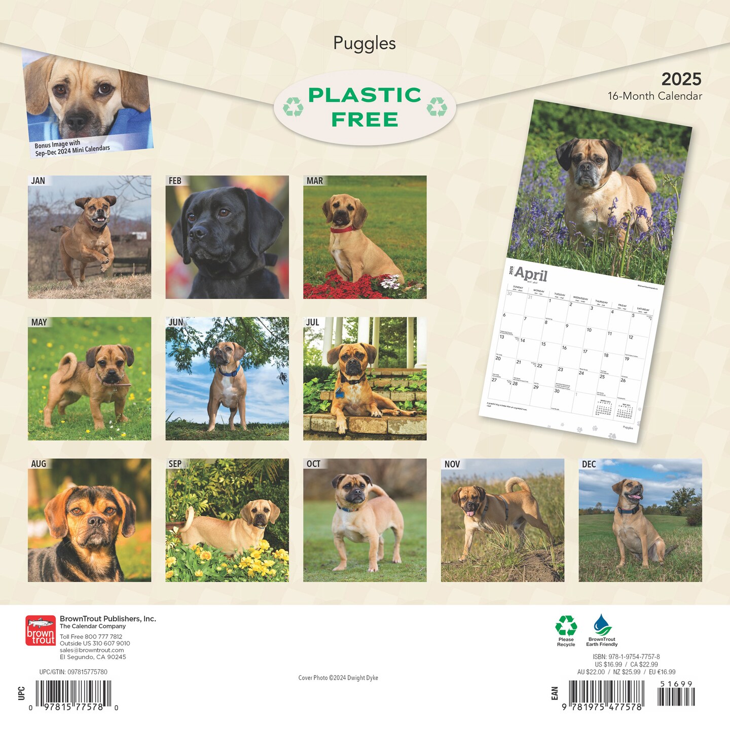 Puggles | 2025 12 x 24 Inch Monthly Square Wall Calendar | Plastic-Free | BrownTrout | Animals Mixed Dog Breeds