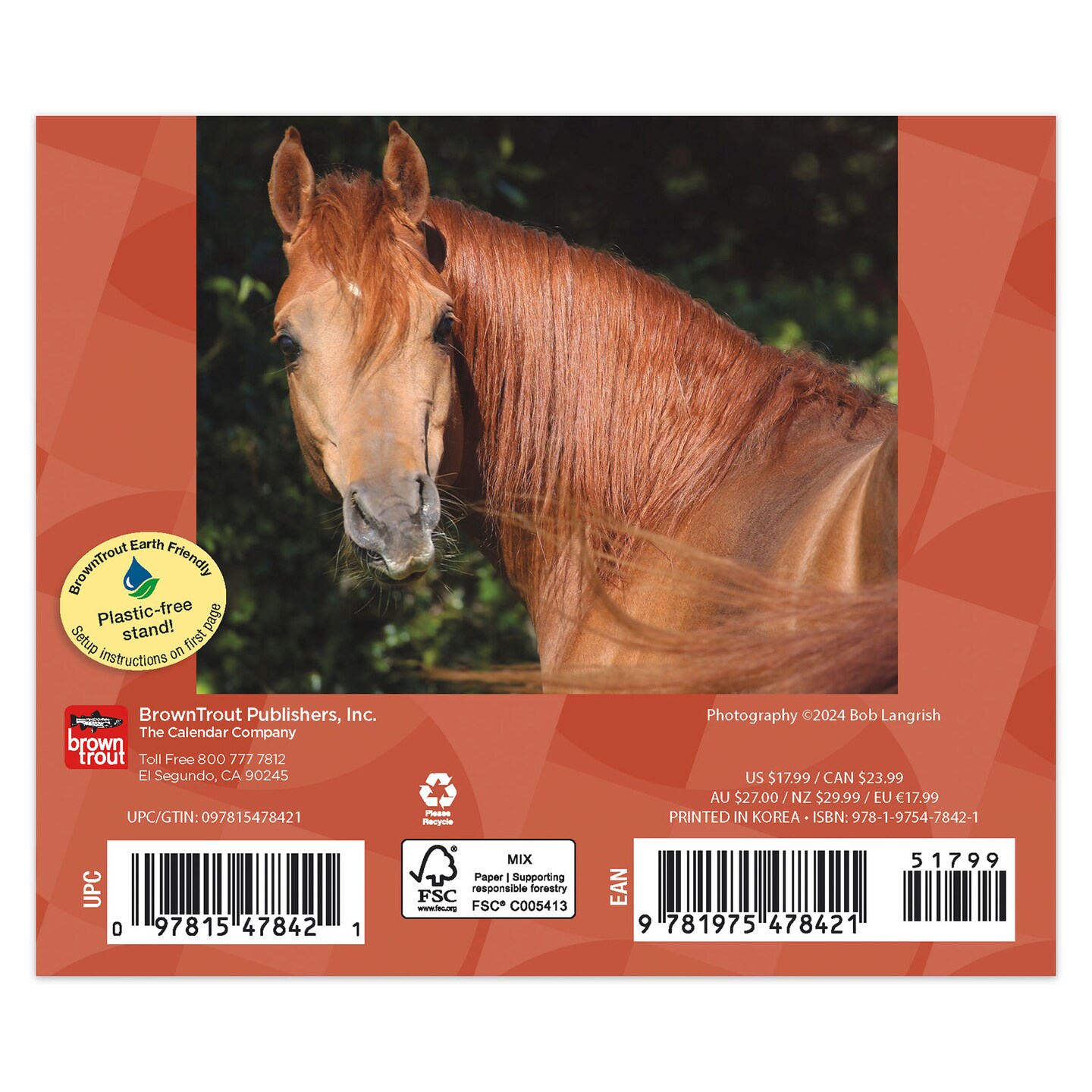 Horse Lovers | 2025 6 x 5 Inch Daily Desktop Box Calendar | New Page Every Day | BrownTrout | Animals Horses Equestrian