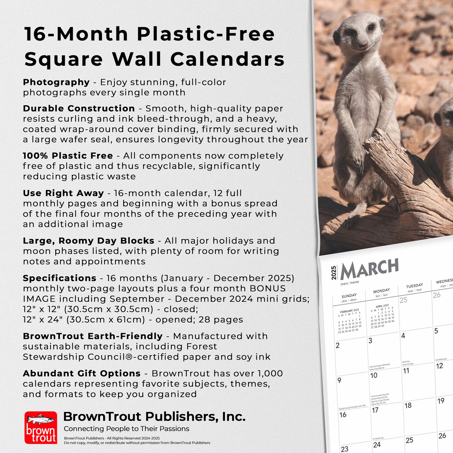 Meerkats | 2025 12 x 24 Inch Monthly Square Wall Calendar | Plastic-Free | BrownTrout | Wildlife Animals