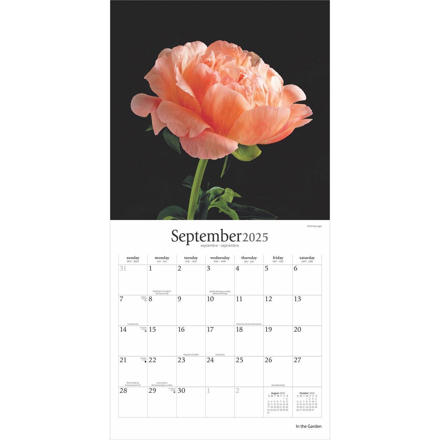 In the Garden | 2025 12 x 24 Inch Monthly Square Wall Calendar | Plastic-Free | Brush Dance | Flowers Plants Floral Photography