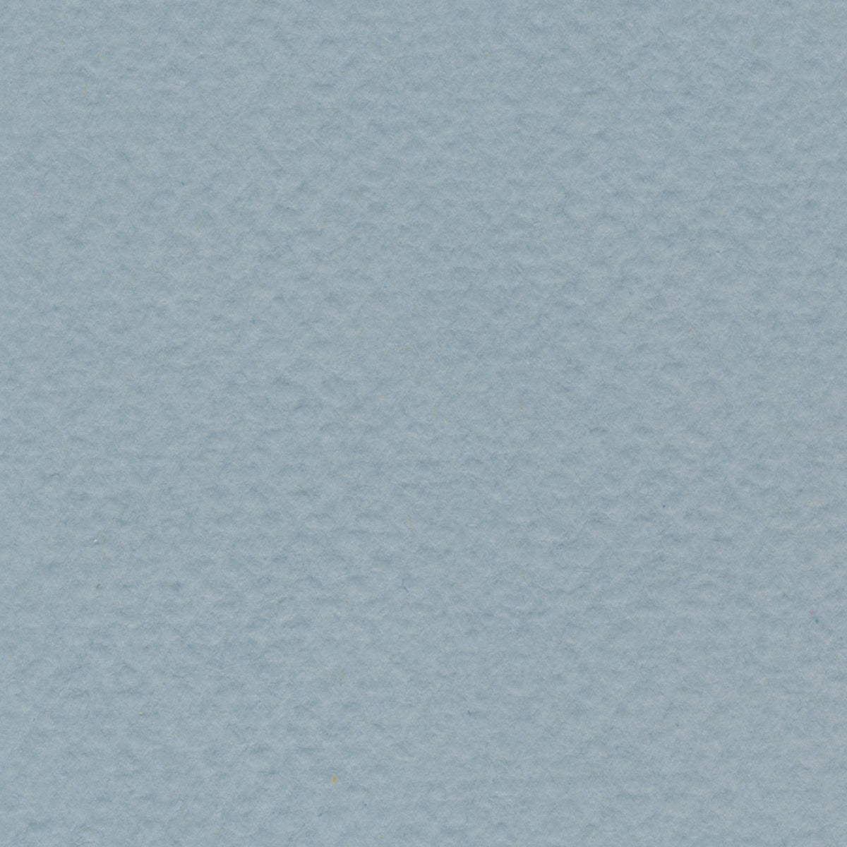 BEE | Pastel Paper Series