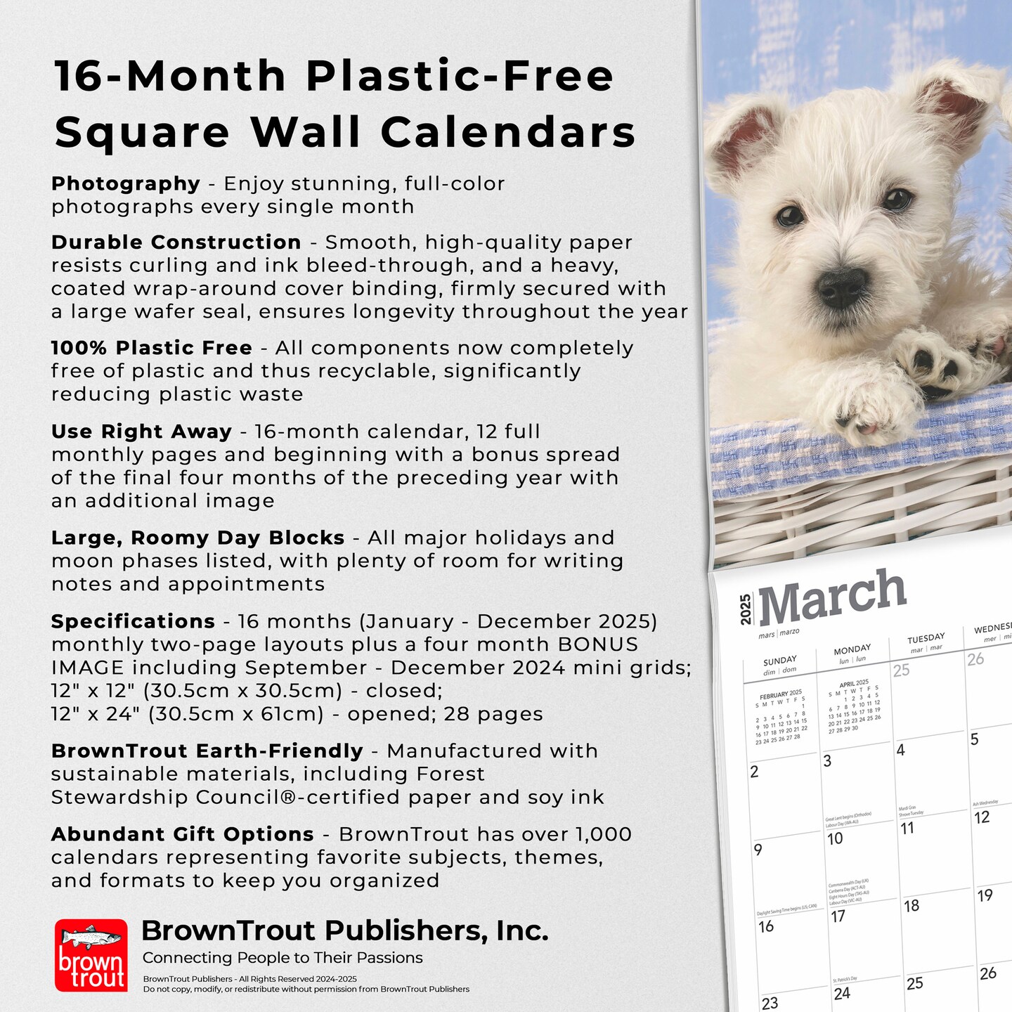 West Highland White Terrier Puppies | 2025 12 x 24 Inch Monthly Square Wall Calendar | Plastic-Free | BrownTrout | Animals Dog Breeds Puppy