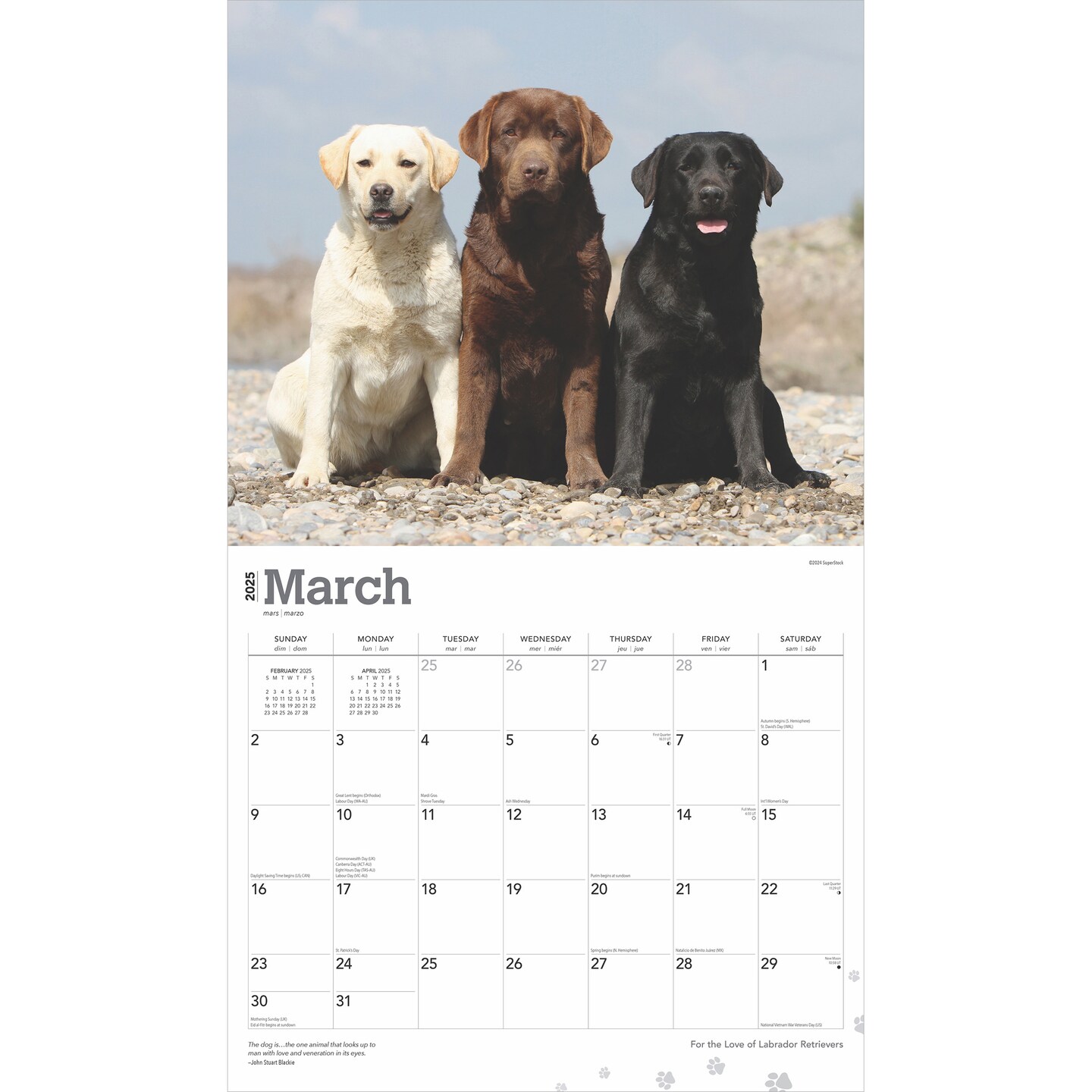 For the Love of Labrador Retrievers | 2025 14 x 24 Inch Monthly Deluxe Wall Calendar | Foil Stamped Cover | Plastic-Free | BrownTrout | Animal Dog Breeds