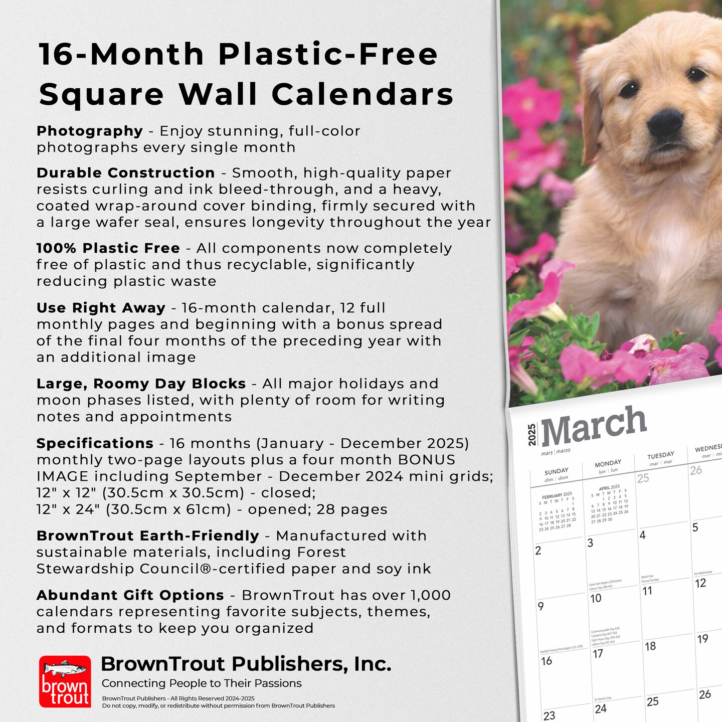 Golden Retriever Puppies | 2025 12 x 24 Inch Monthly Square Wall Calendar | Plastic-Free | BrownTrout | Animals Dog Breeds Puppy