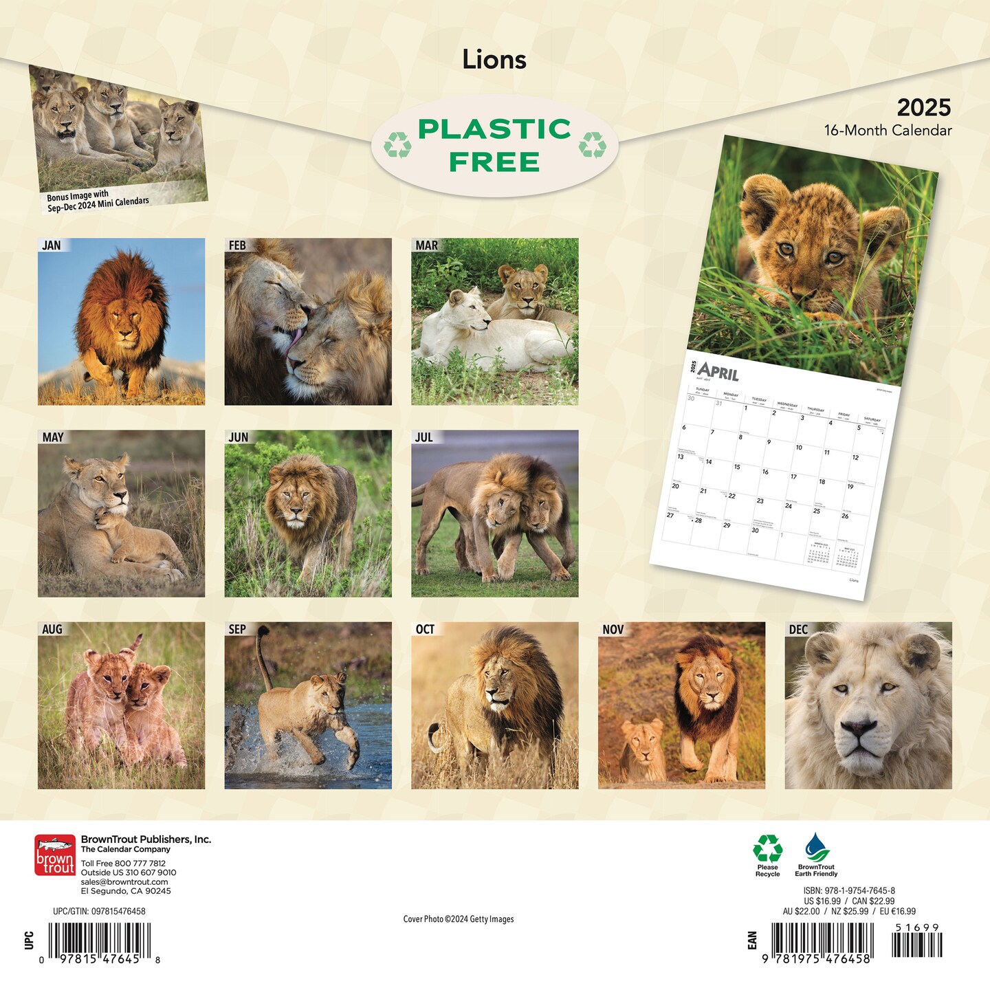Lions | 2025 12 x 24 Inch Monthly Square Wall Calendar | Plastic-Free | BrownTrout | Animals Wildlife
