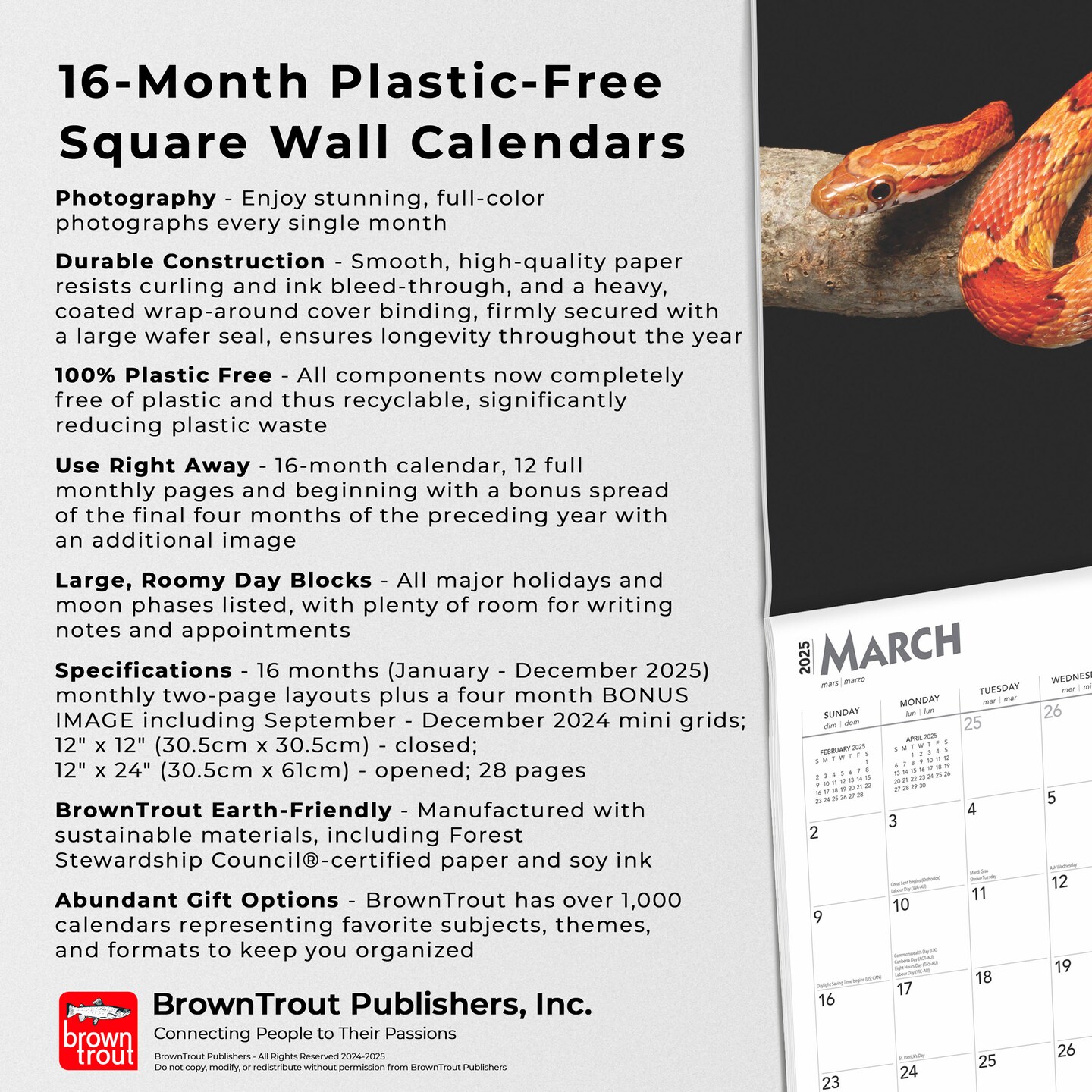 Snakes | 2025 12 x 24 Inch Monthly Square Wall Calendar | Plastic-Free | BrownTrout | Animals Nature Wildlife