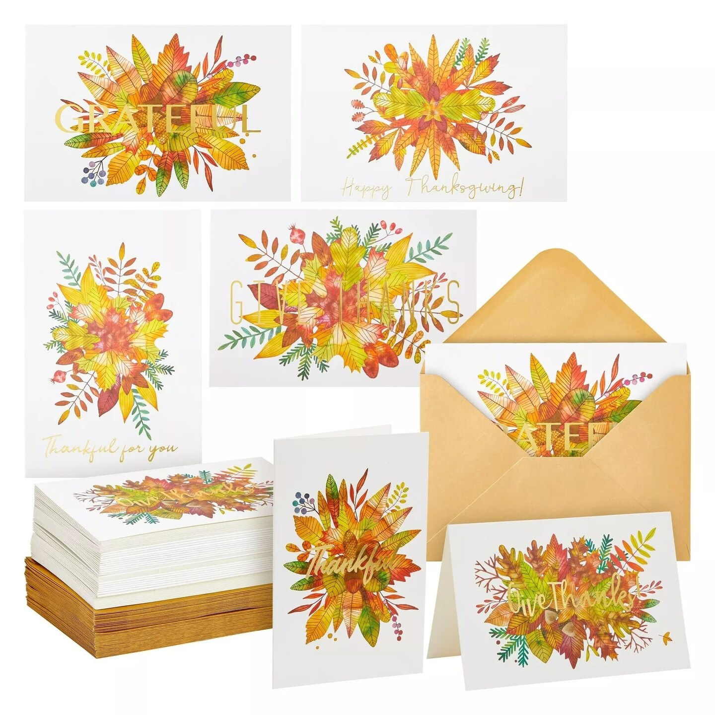 48 Pack Thanksgiving Greeting Cards and Kraft Envelopes, 6 Fall Designs, 4x6 In