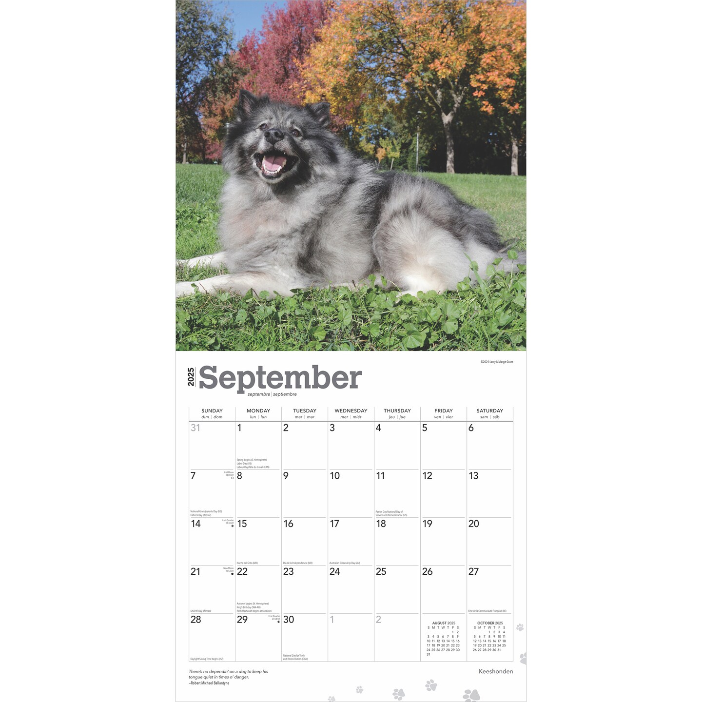 Keeshonden | 2025 12 x 24 Inch Monthly Square Wall Calendar | Plastic-Free | BrownTrout | Animals Dog Breeds