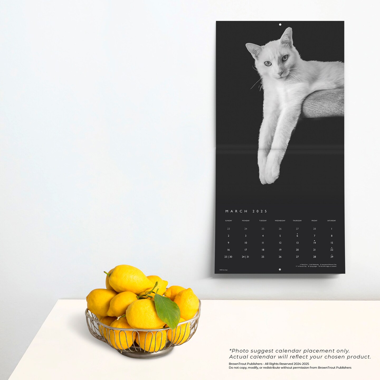 The BrownTrout Portrait Series: The Regal Cat | 2025 12 x 24 Inch Monthly Square Wall Calendar | Pet Kitten Feline