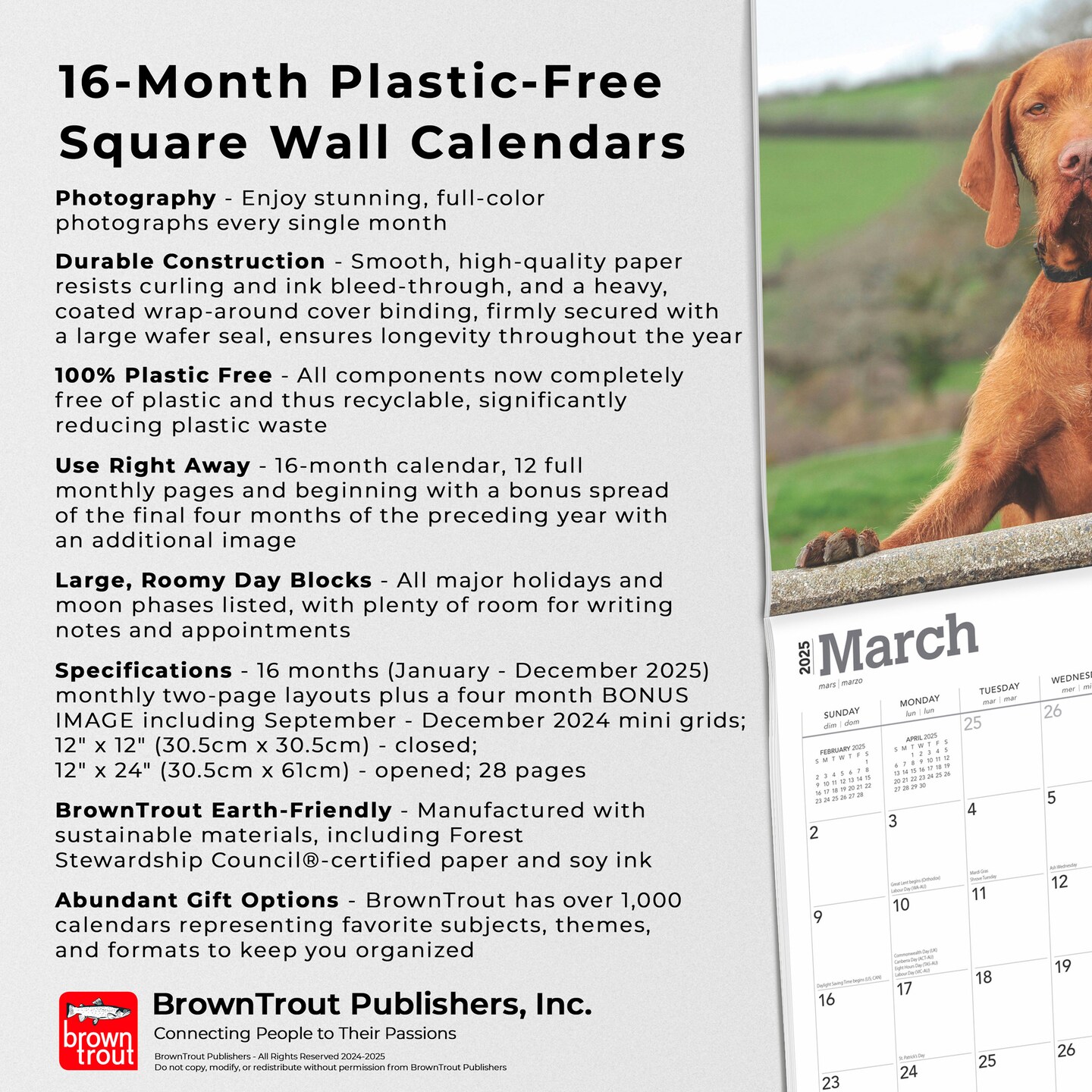 Vizslas | 2025 12 x 24 Inch Monthly Square Wall Calendar | Plastic-Free | BrownTrout | Animals Dog Breeds