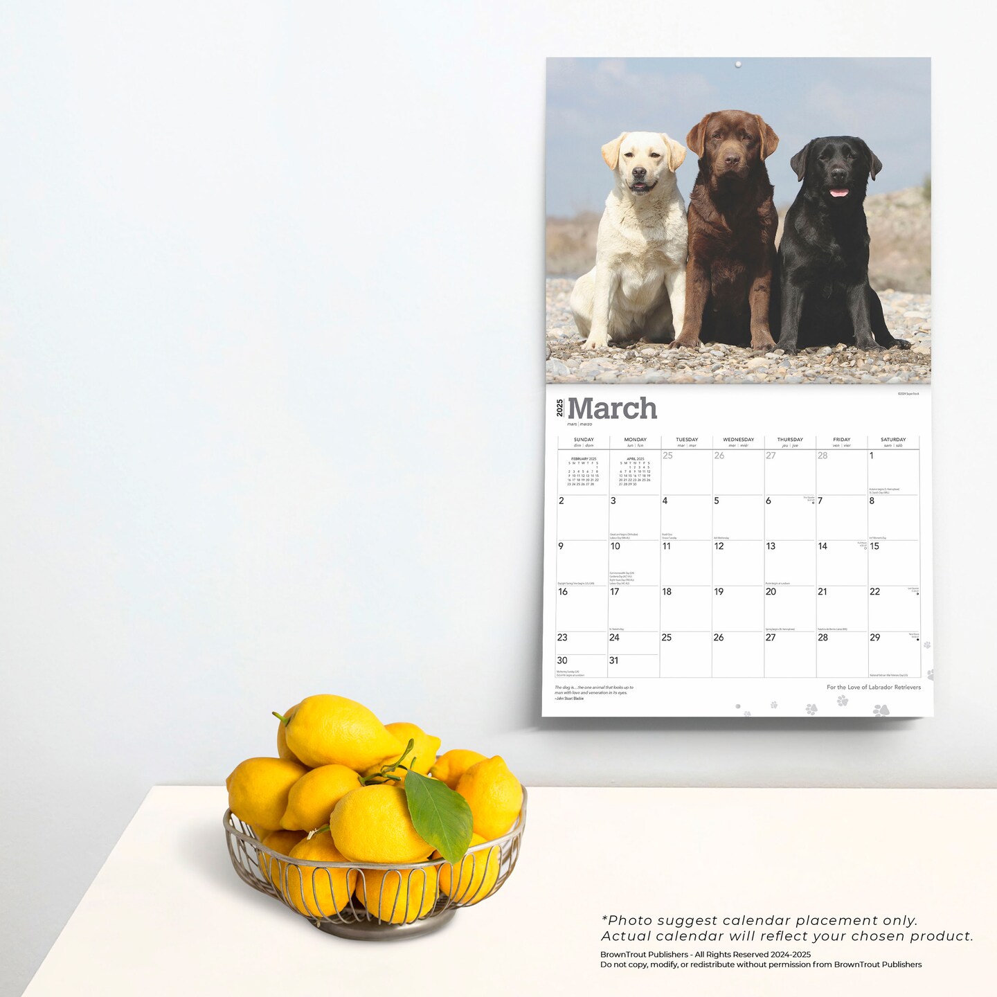 For the Love of Labrador Retrievers | 2025 14 x 24 Inch Monthly Deluxe Wall Calendar | Foil Stamped Cover | Plastic-Free | BrownTrout | Animal Dog Breeds
