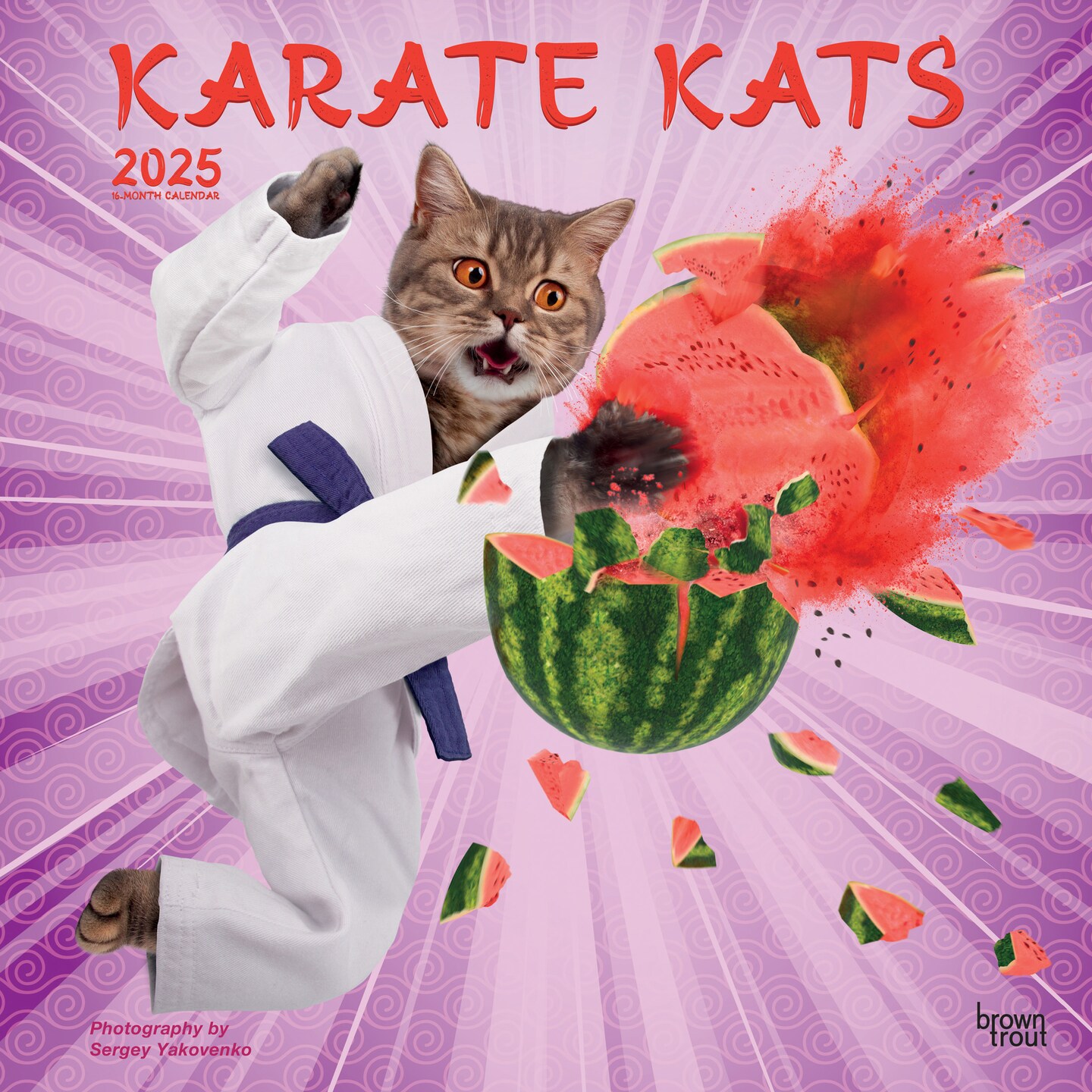 Karate Cats OFFICIAL | 2025 12 x 24 Inch Monthly Square Wall Calendar | Plastic-Free | BrownTrout | Pets Funny Animals Feline