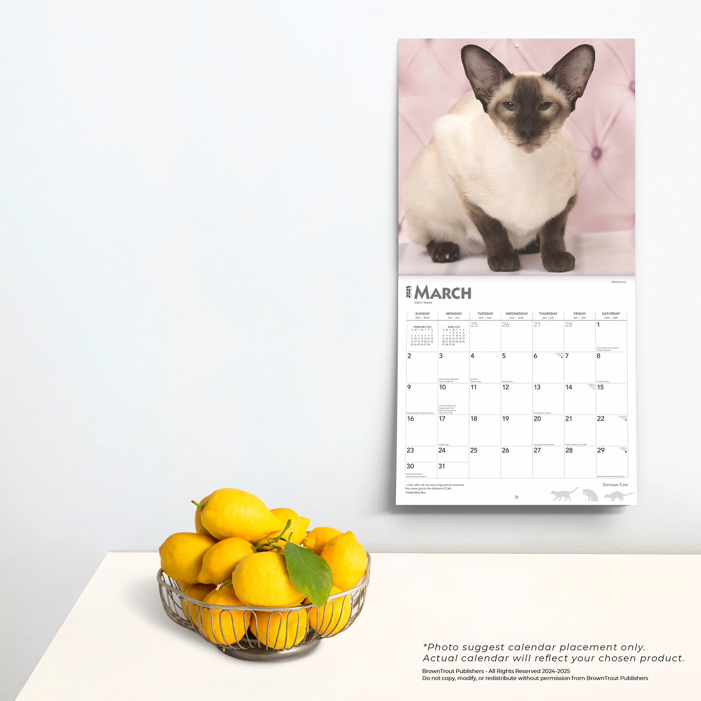 Siamese Cats | 2025 12 x 24 Inch Monthly Square Wall Calendar | Plastic-Free | BrownTrout | Animals Kittens Feline