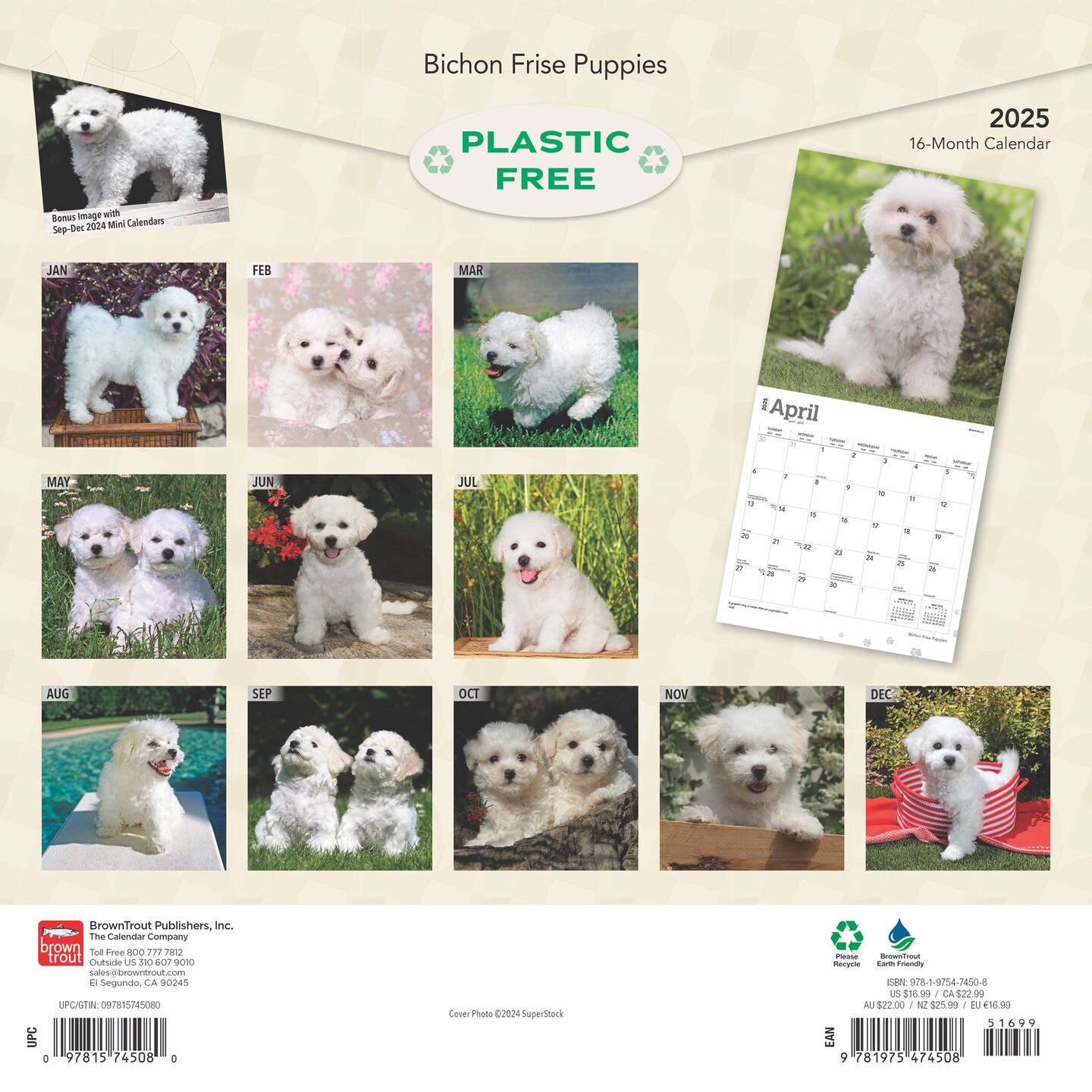 Bichon Frise Puppies | 2025 12 x 24 Inch Monthly Square Wall Calendar | Plastic-Free | BrownTrout | Animals Dog Breeds Puppy